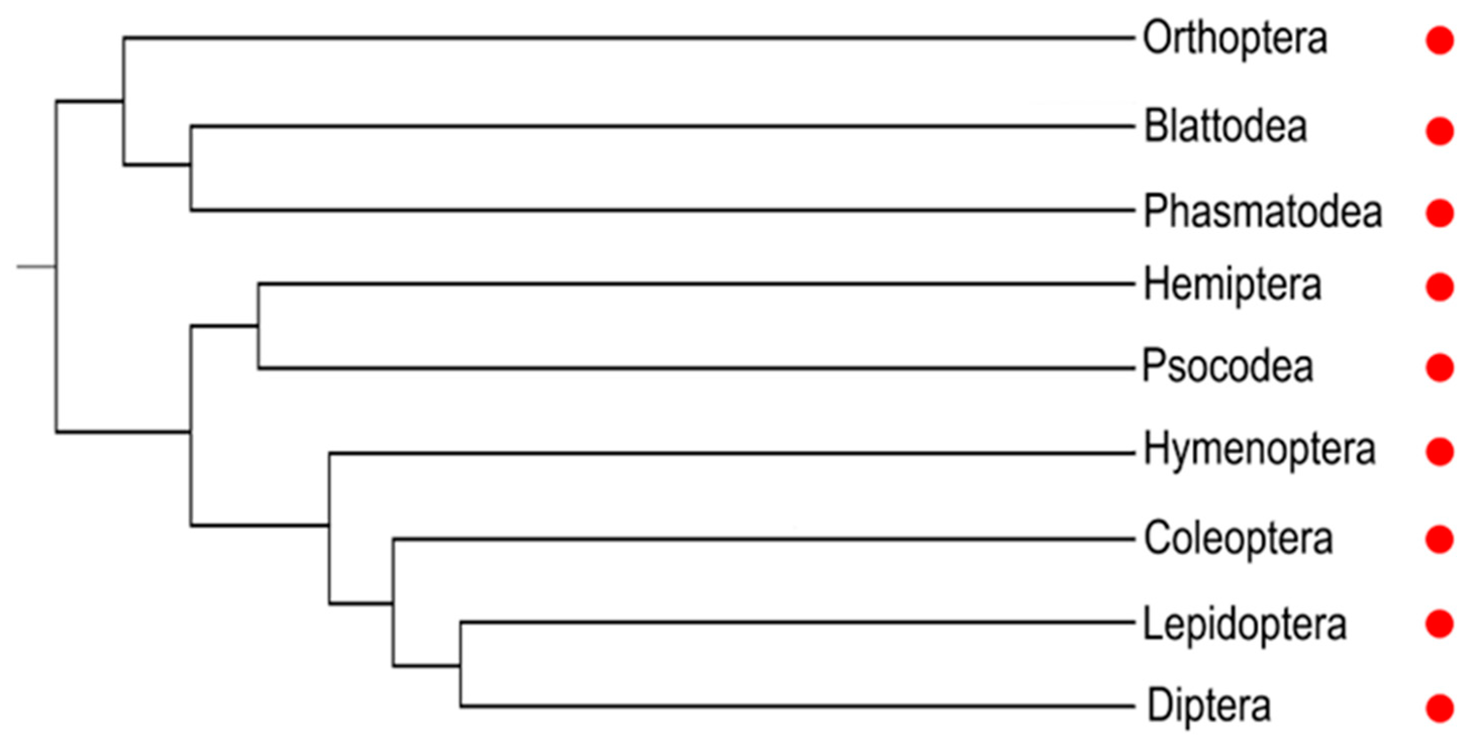 Preprints 81441 g002