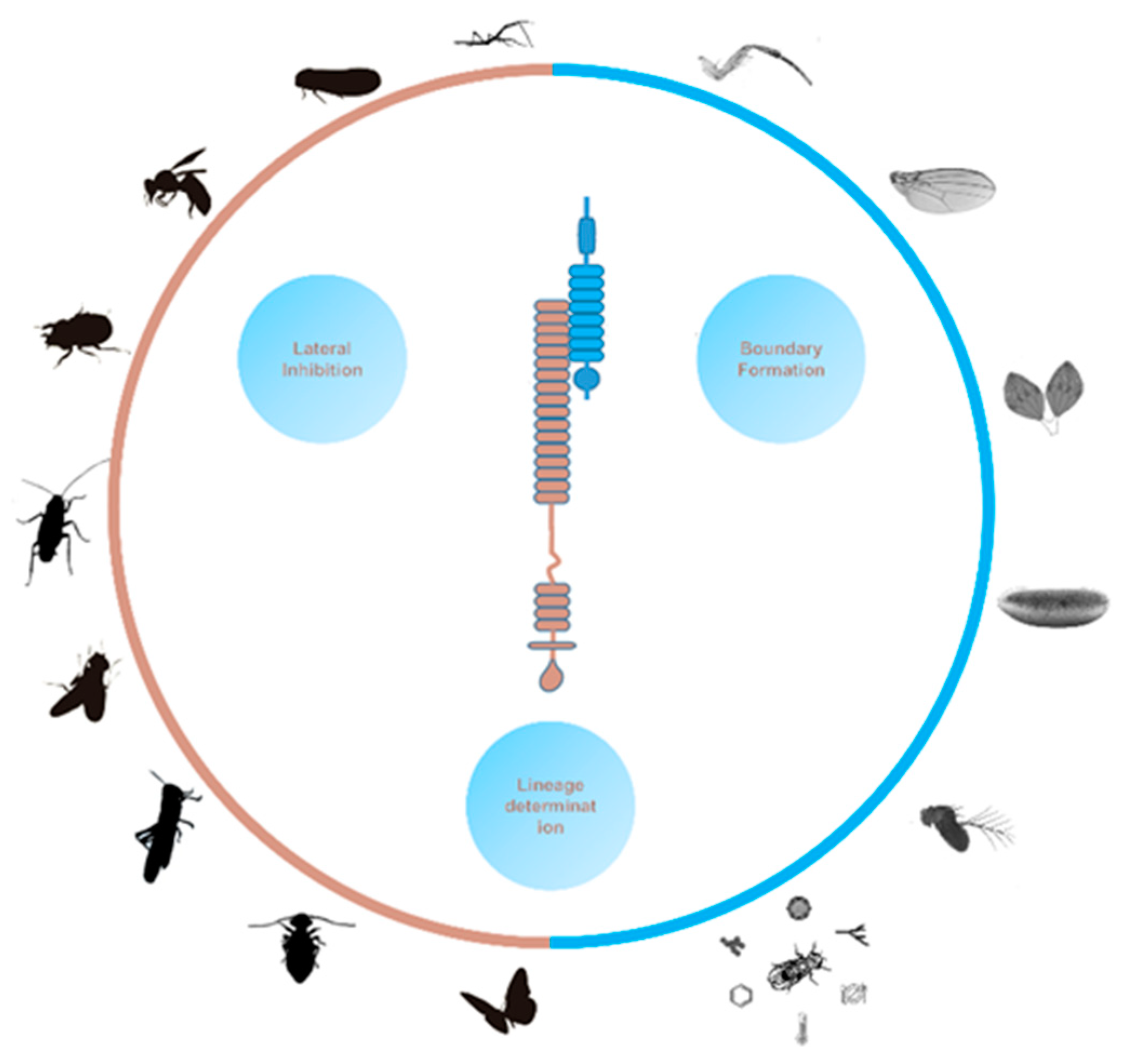 Preprints 81441 g003