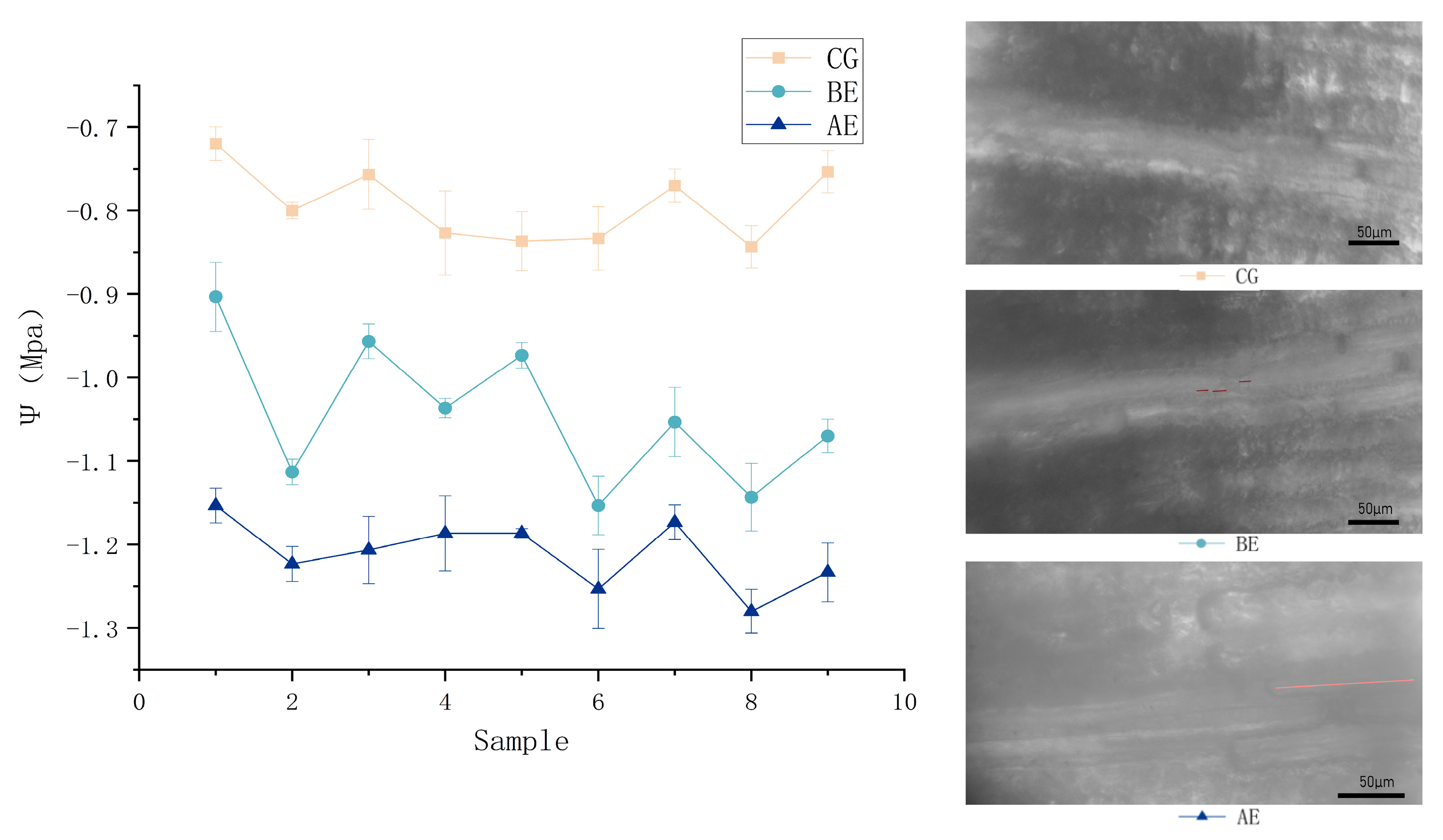 Preprints 81676 g005