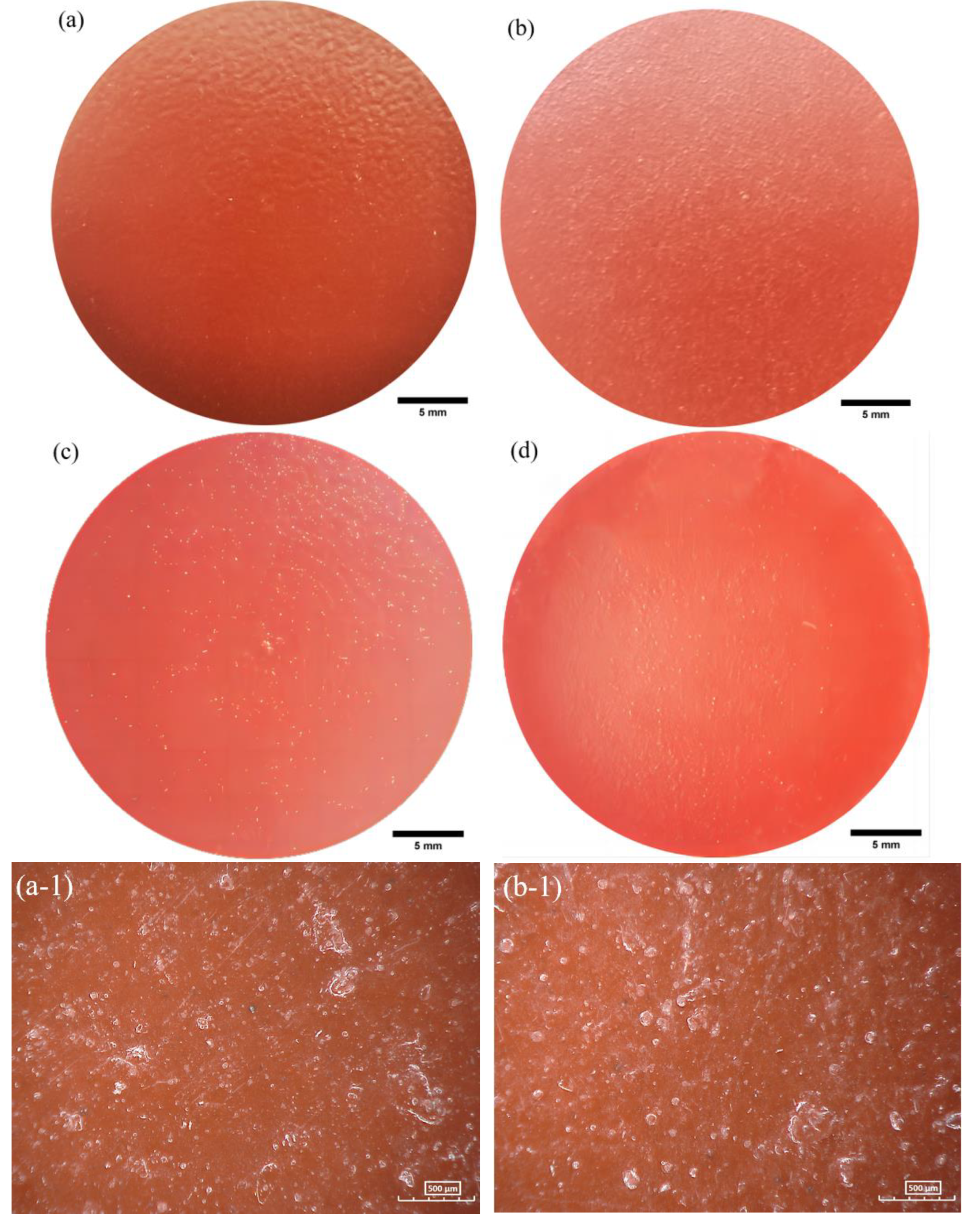 Preprints 88238 g010a