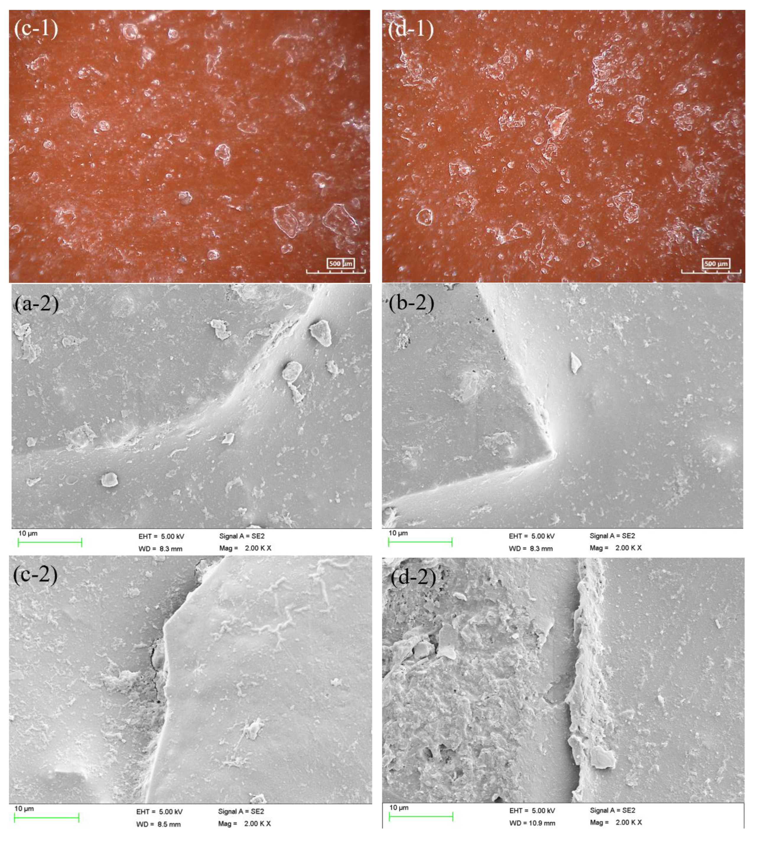 Preprints 88238 g010b