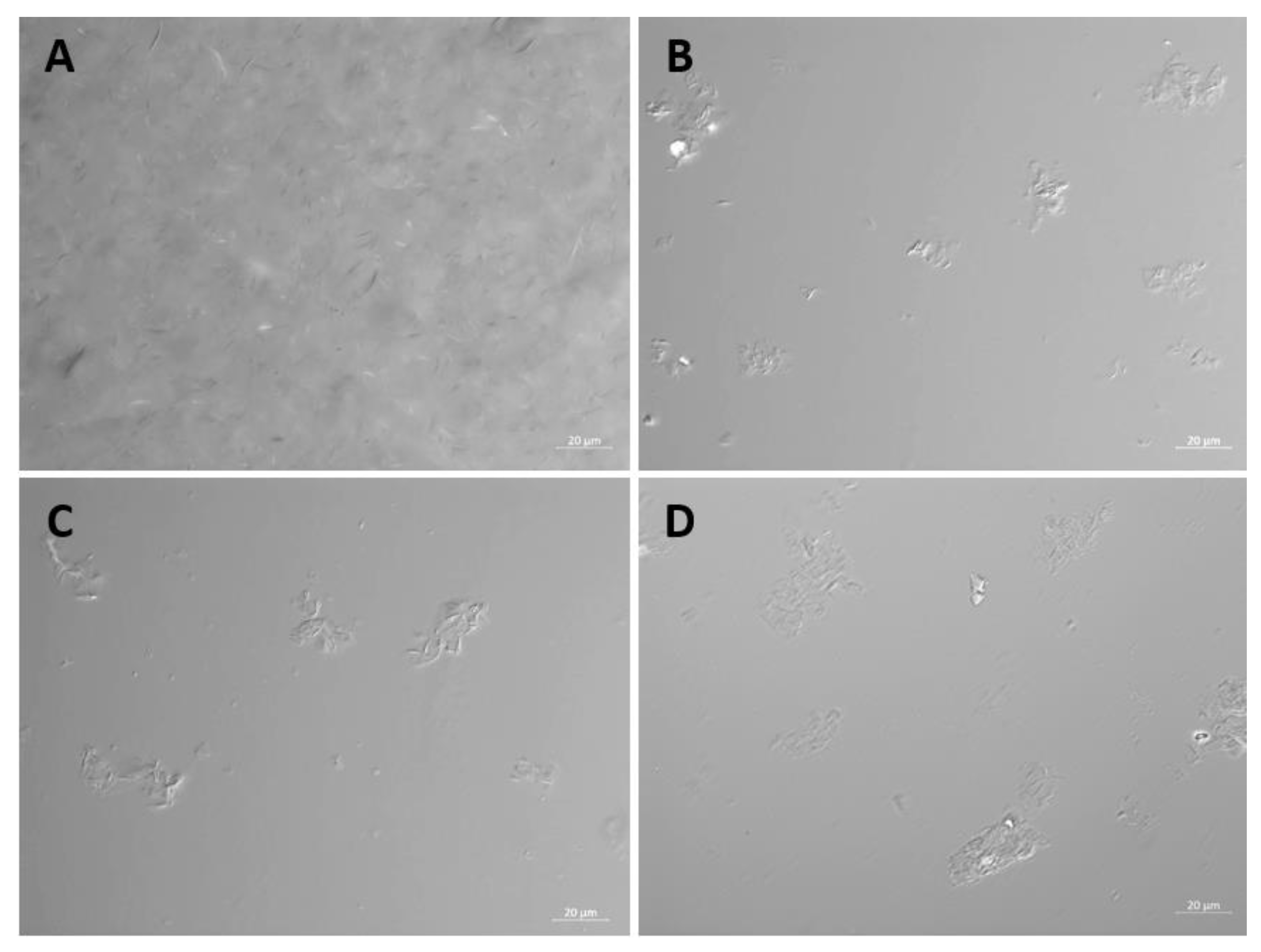 Preprints 70363 g001