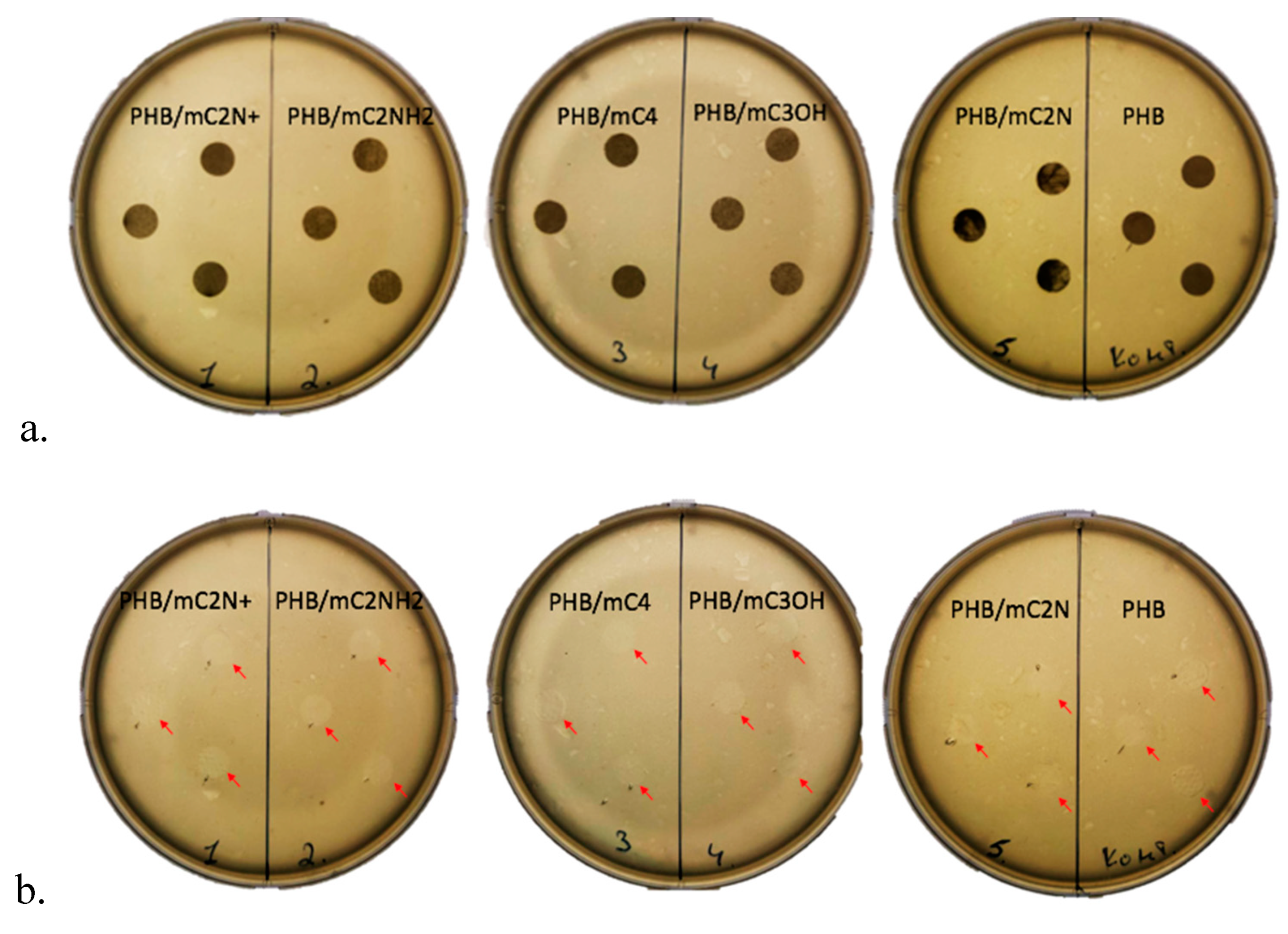 Preprints 89757 g007