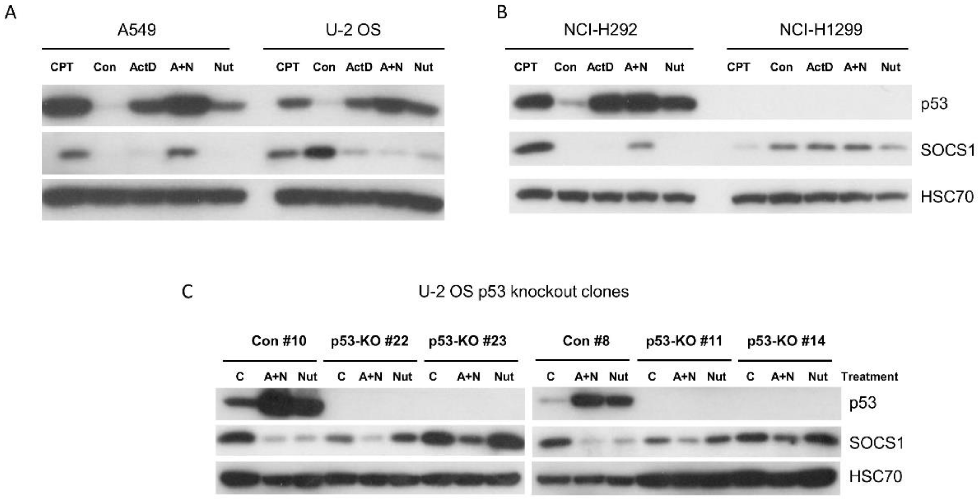 Preprints 104153 g001