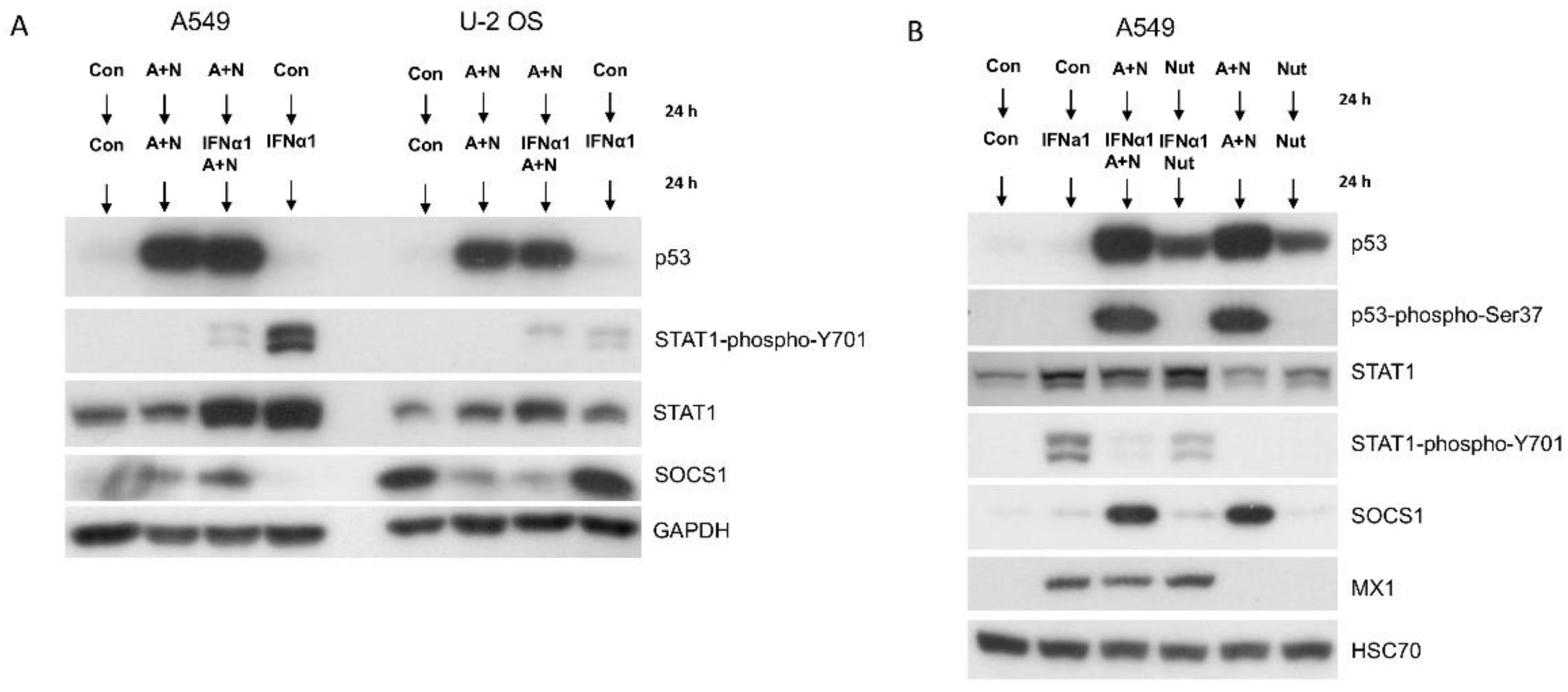 Preprints 104153 g002