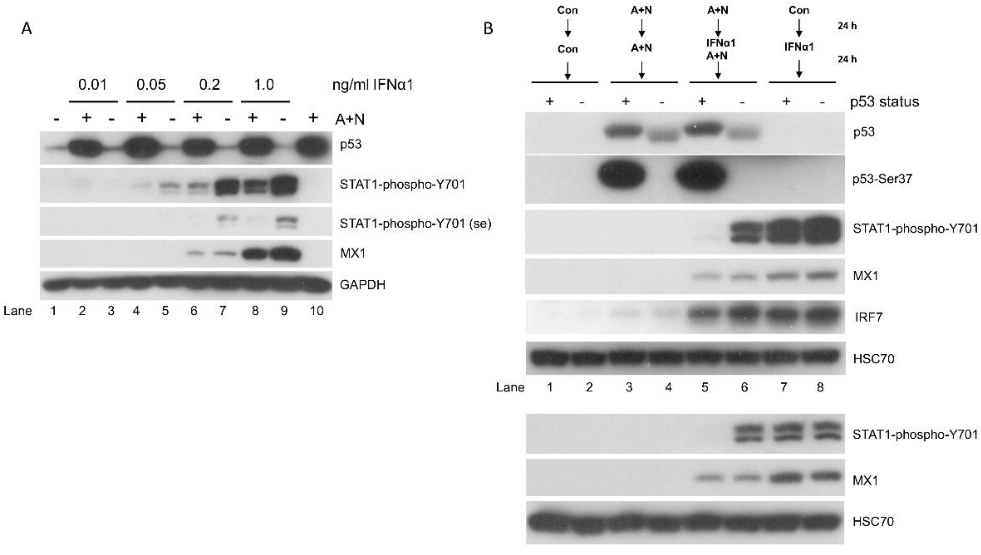 Preprints 104153 g003