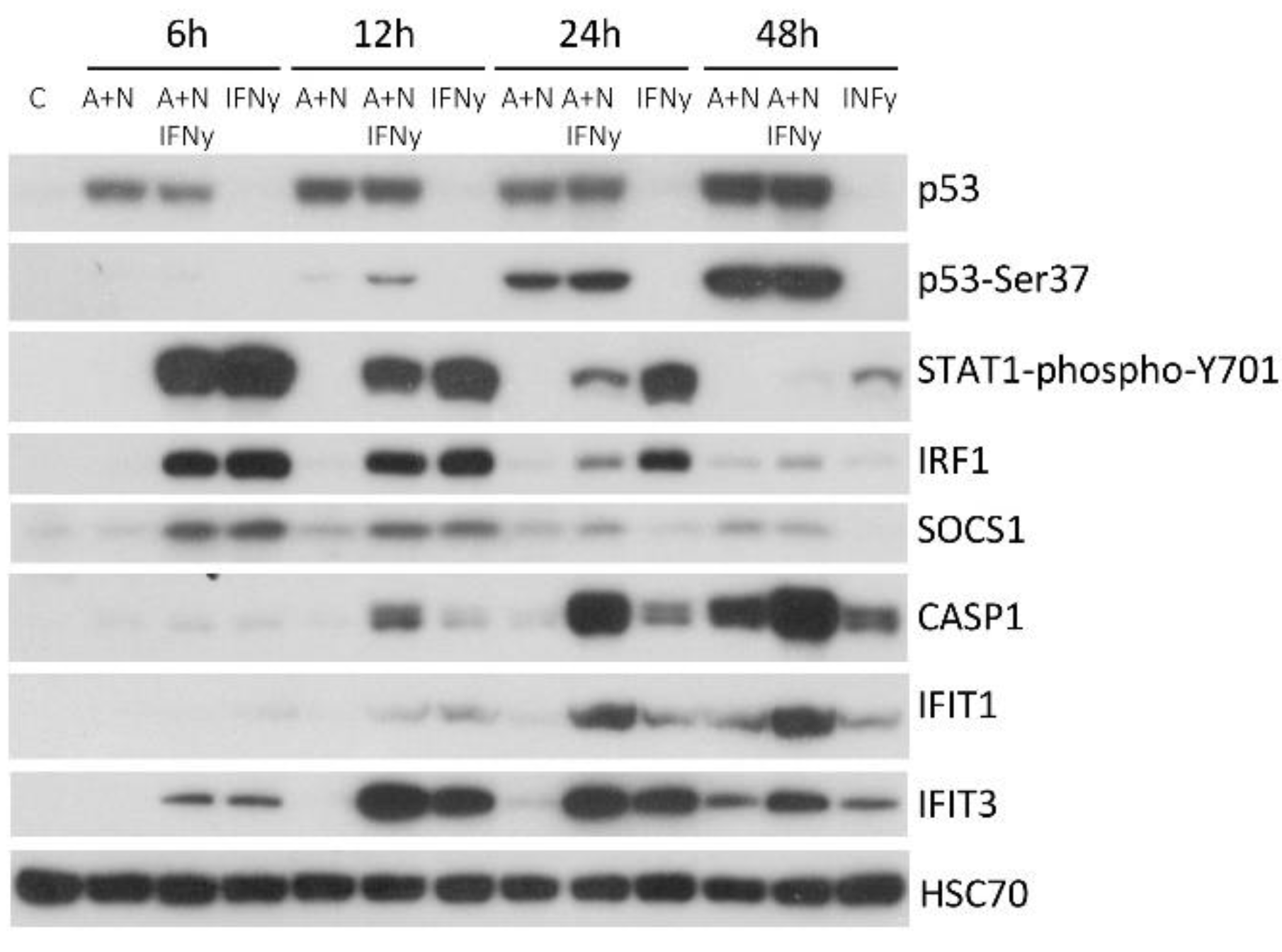 Preprints 104153 g005