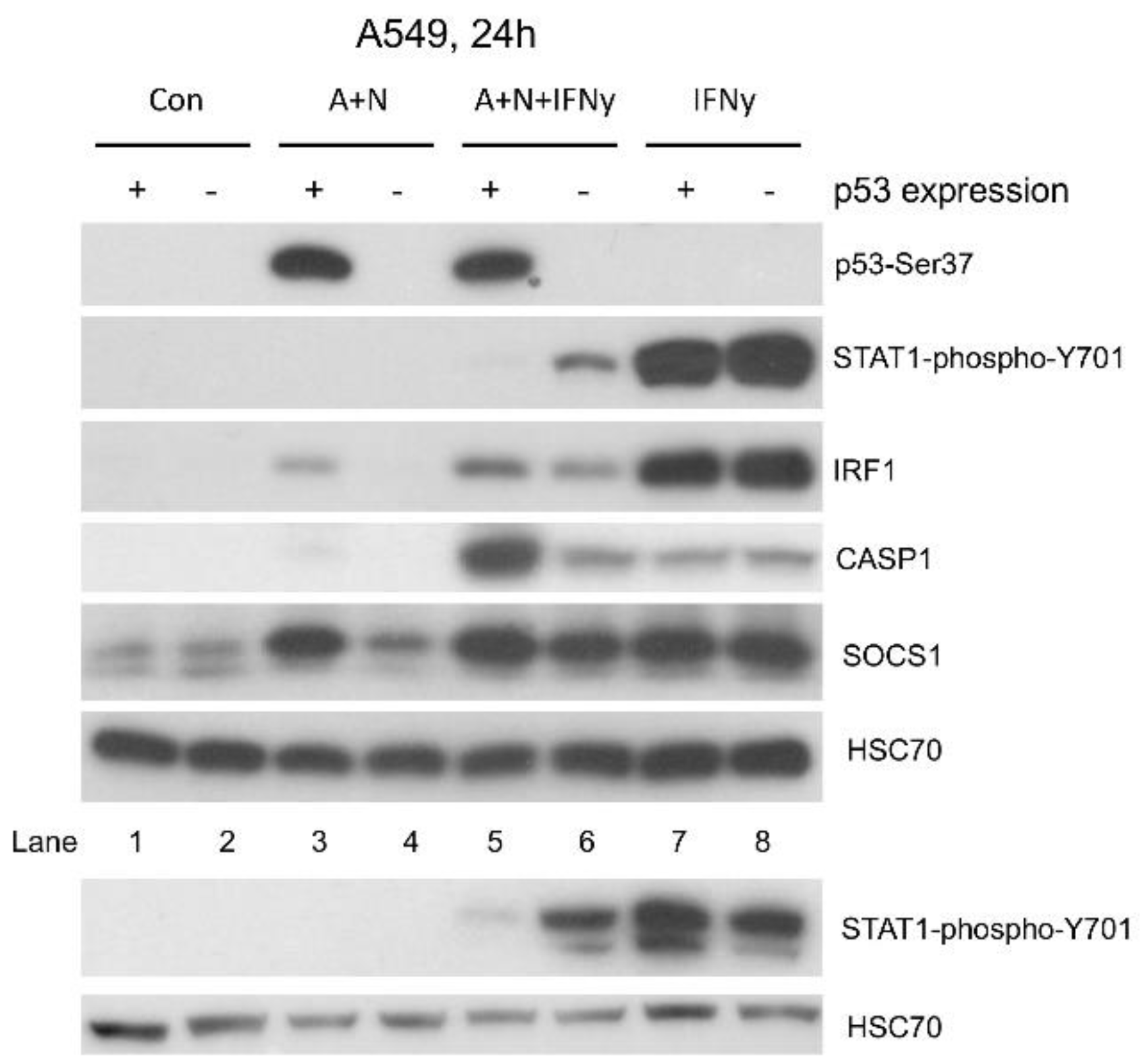 Preprints 104153 g006