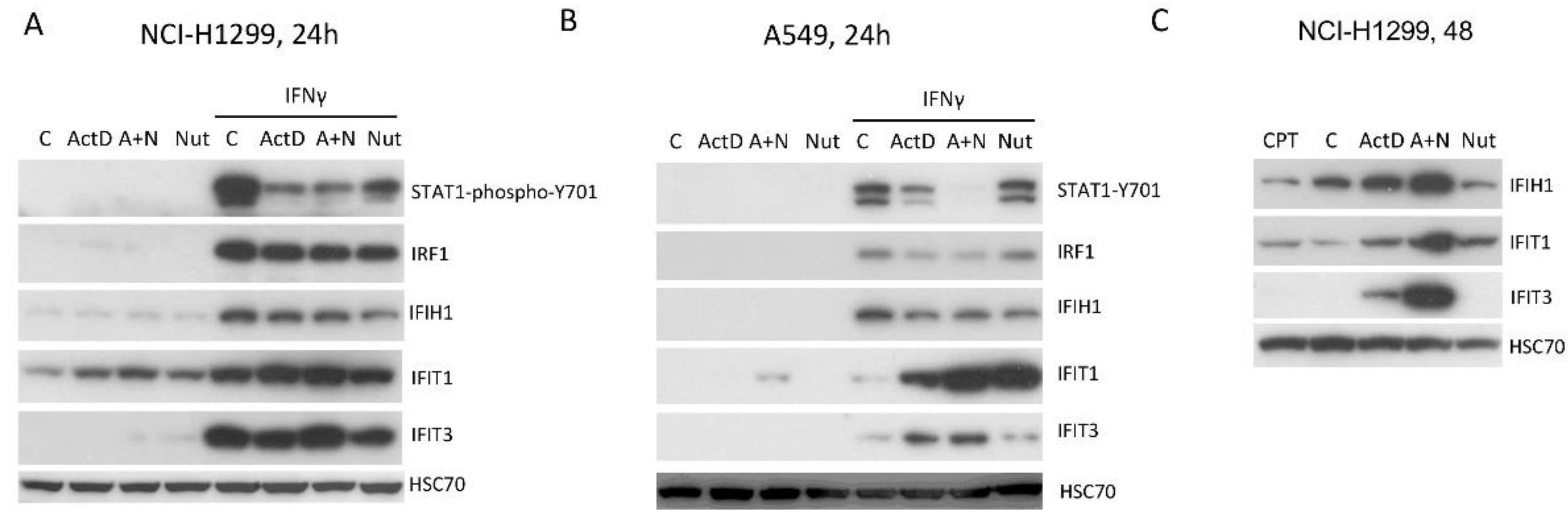 Preprints 104153 g011