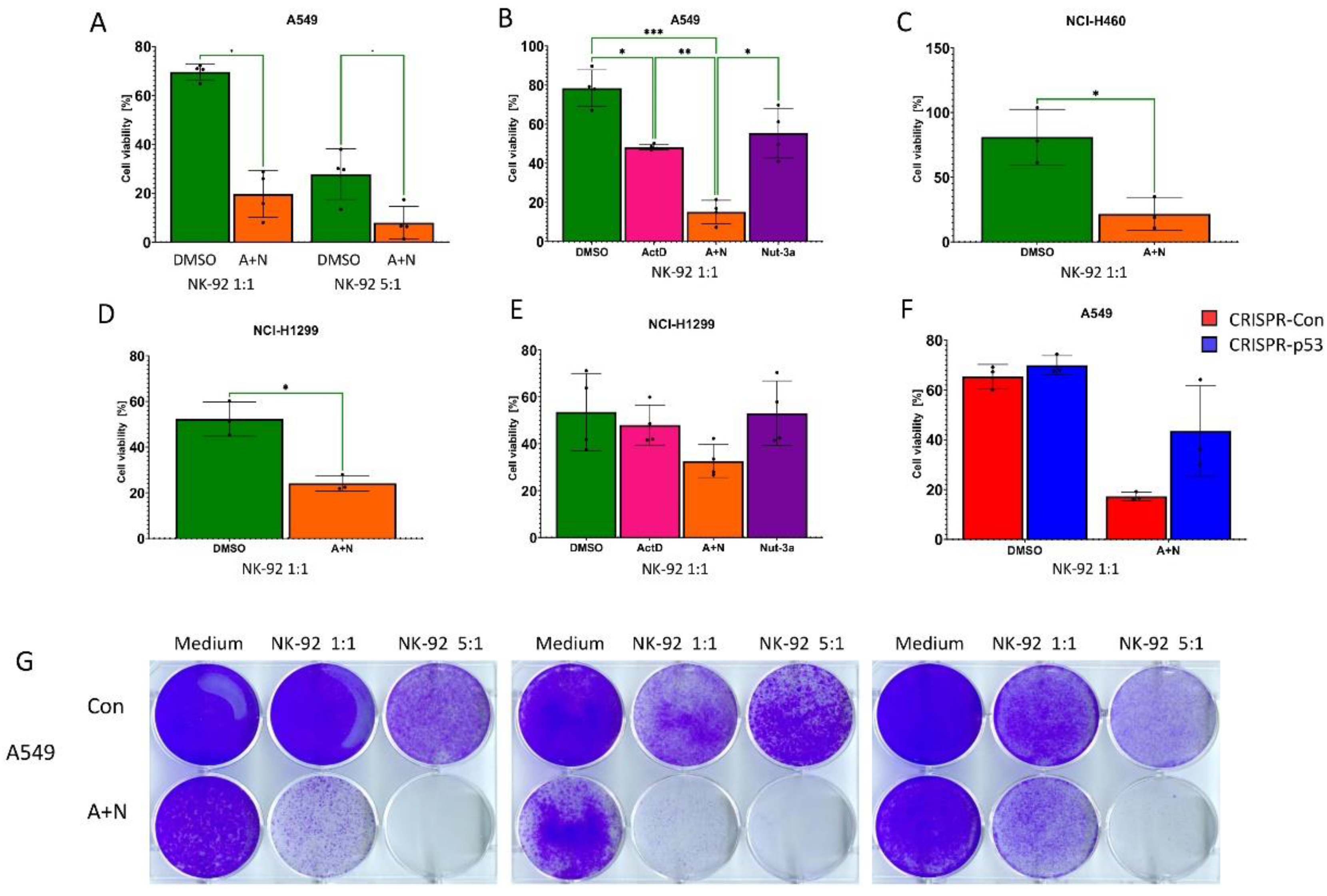 Preprints 104153 g012