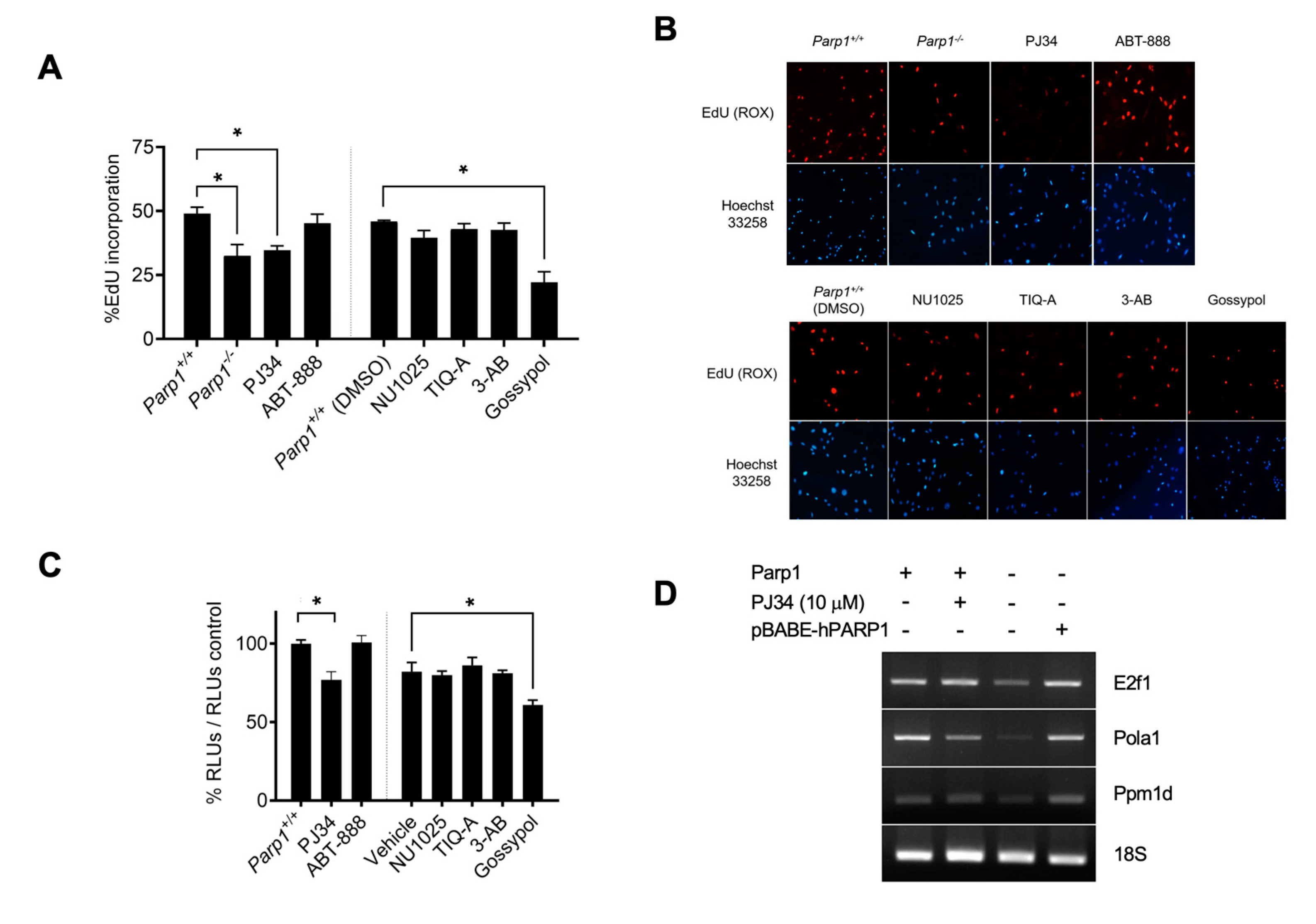 Preprints 71272 g002