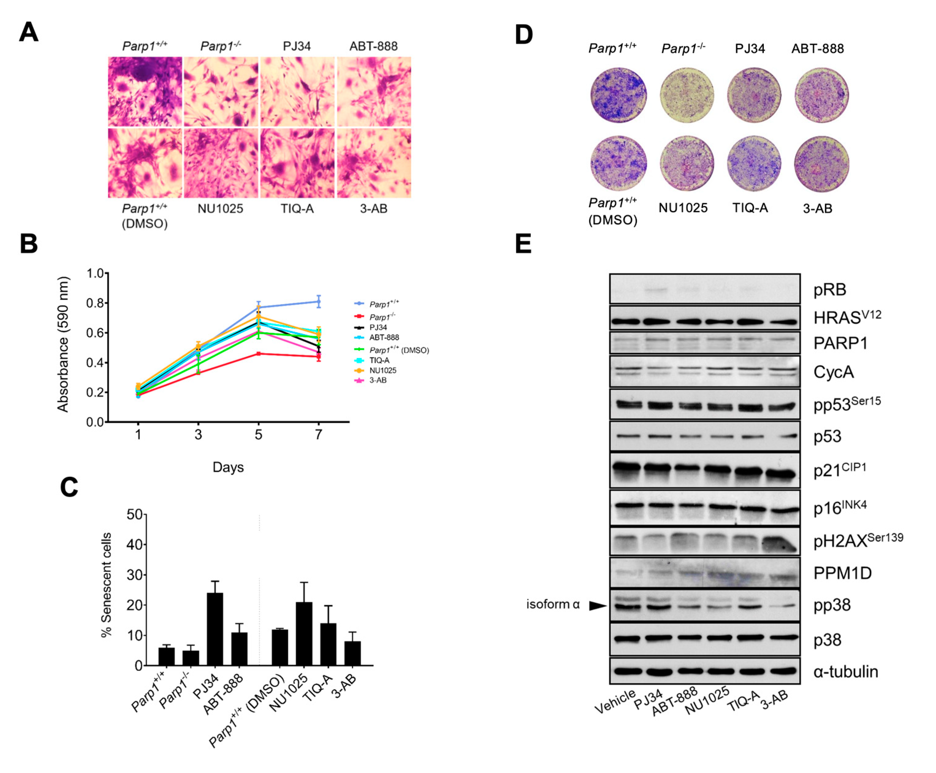 Preprints 71272 g003