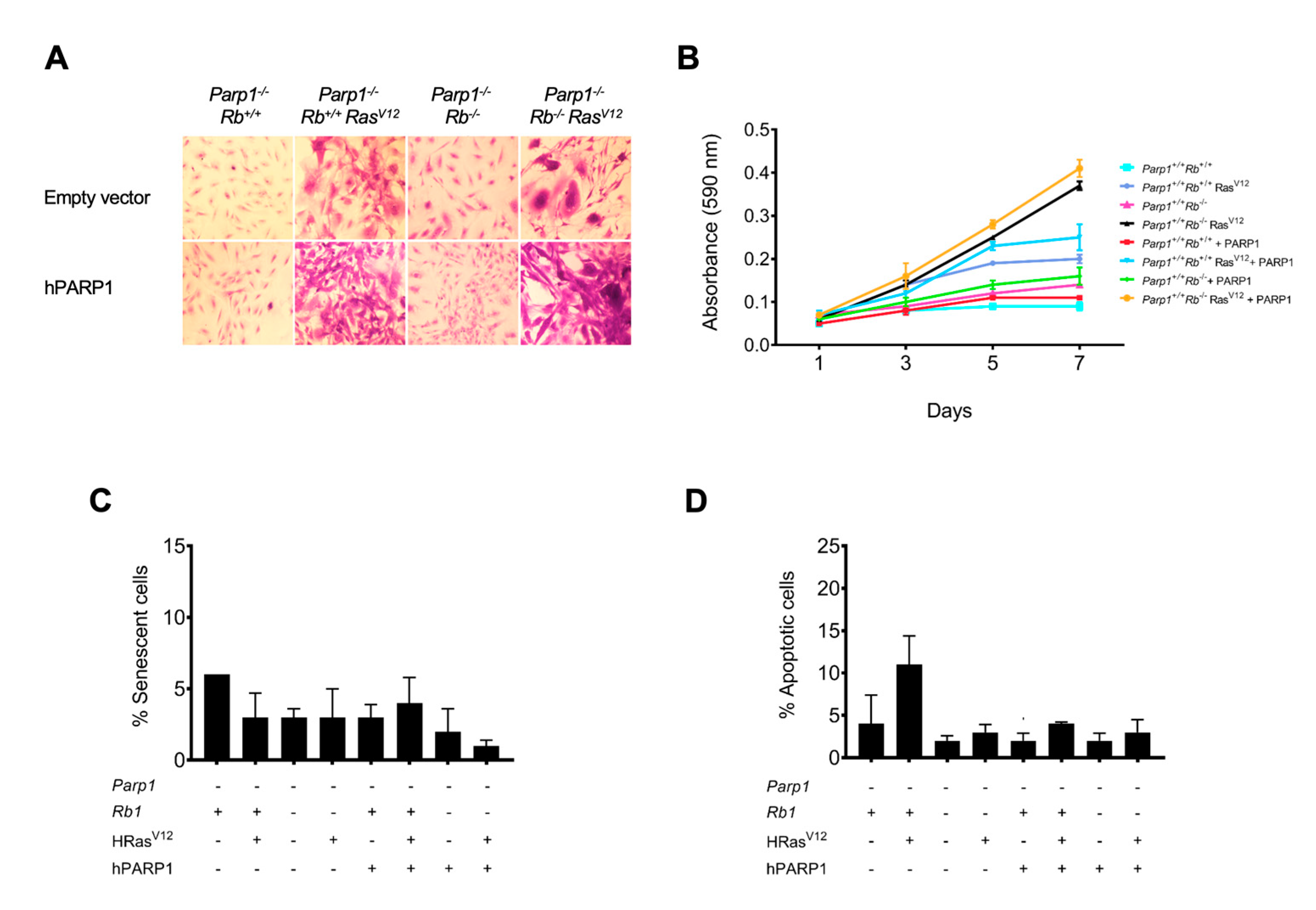 Preprints 71272 g004