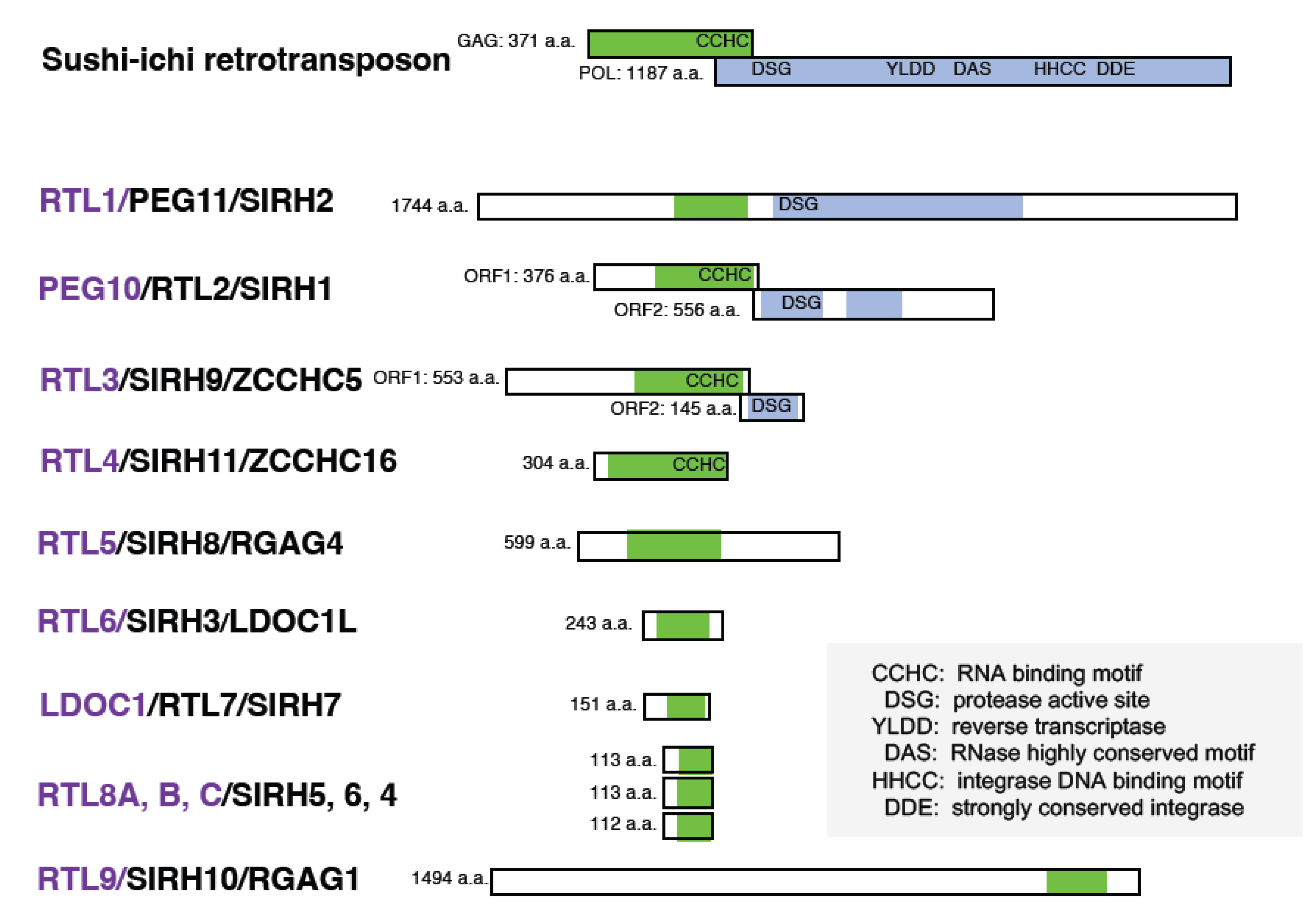 Preprints 82209 g001