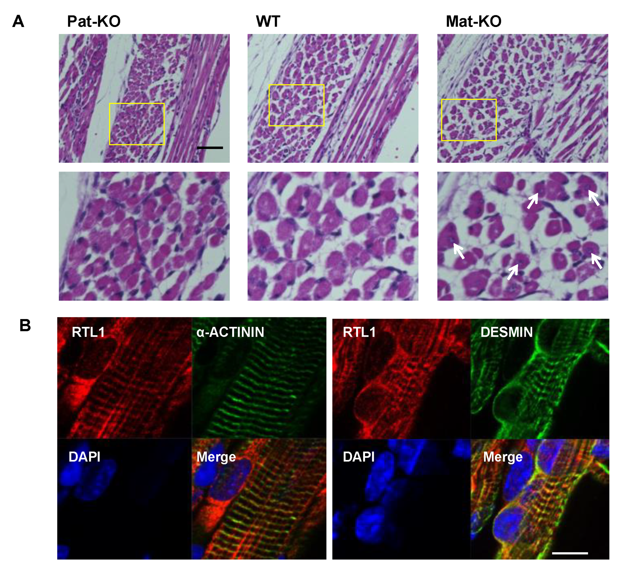 Preprints 82209 g003