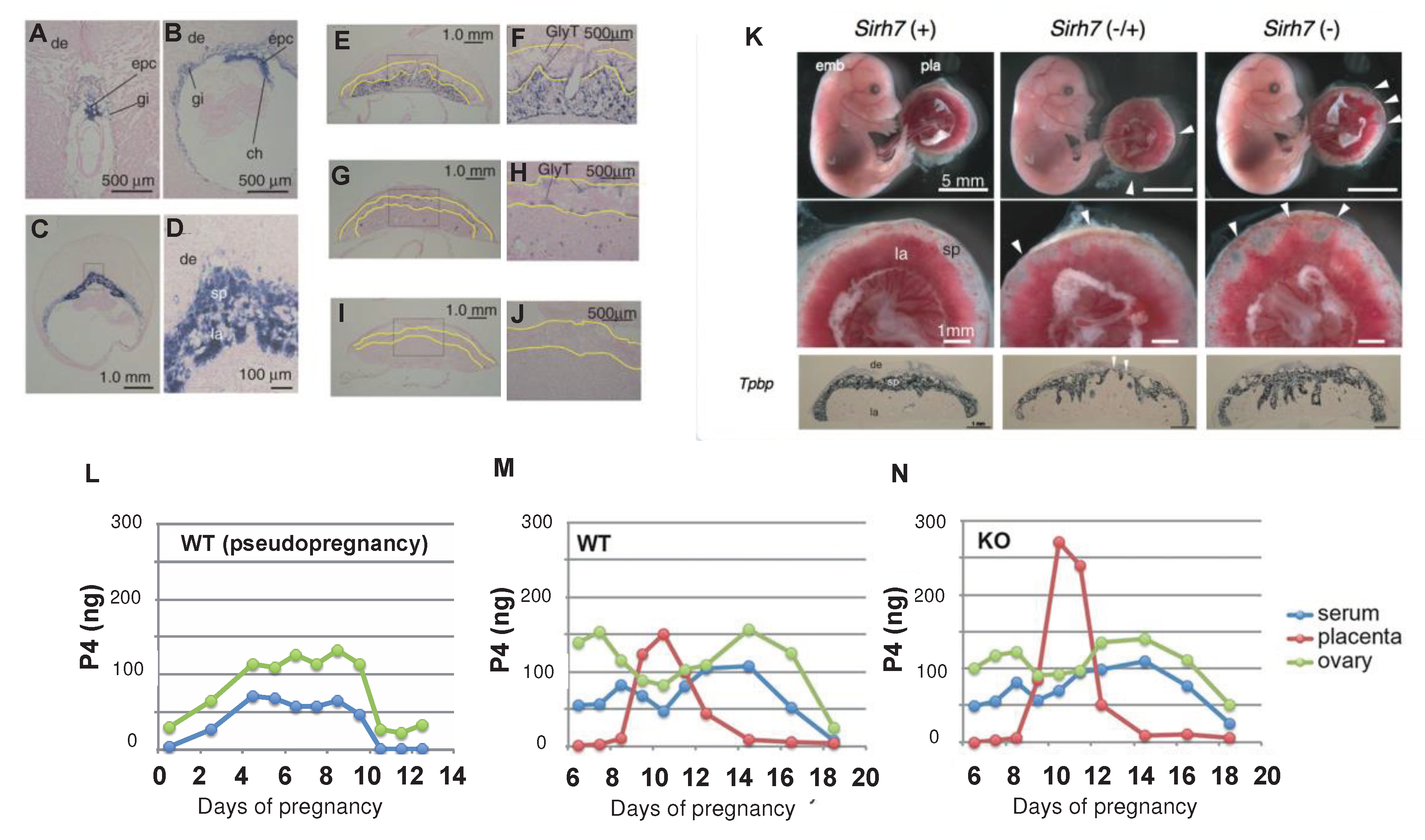 Preprints 82209 g005