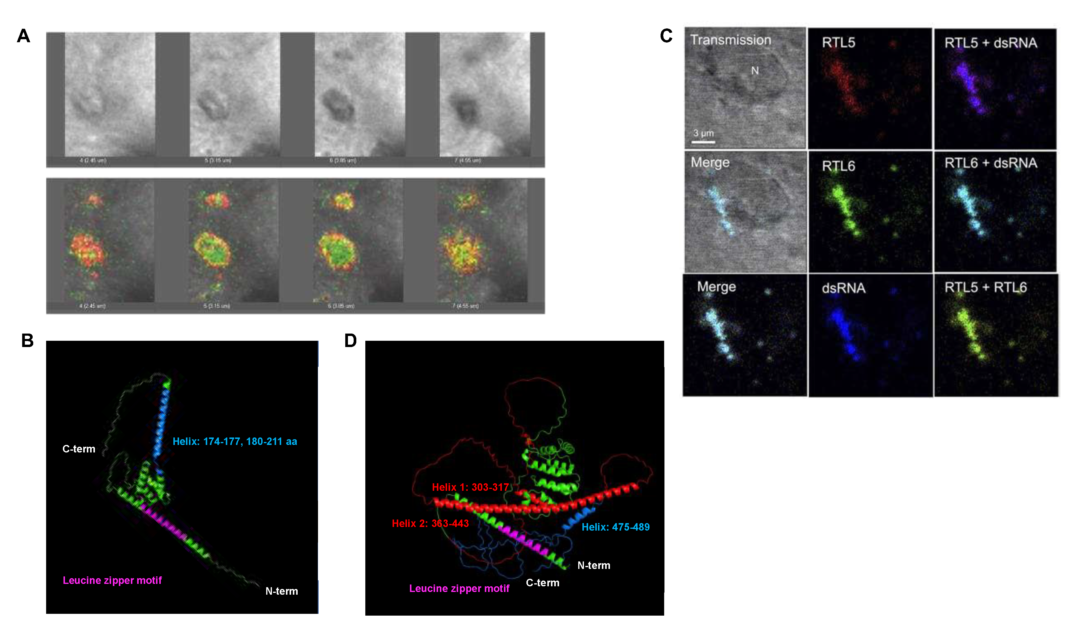 Preprints 82209 g007