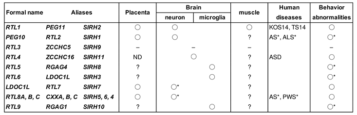 Preprints 82209 i001