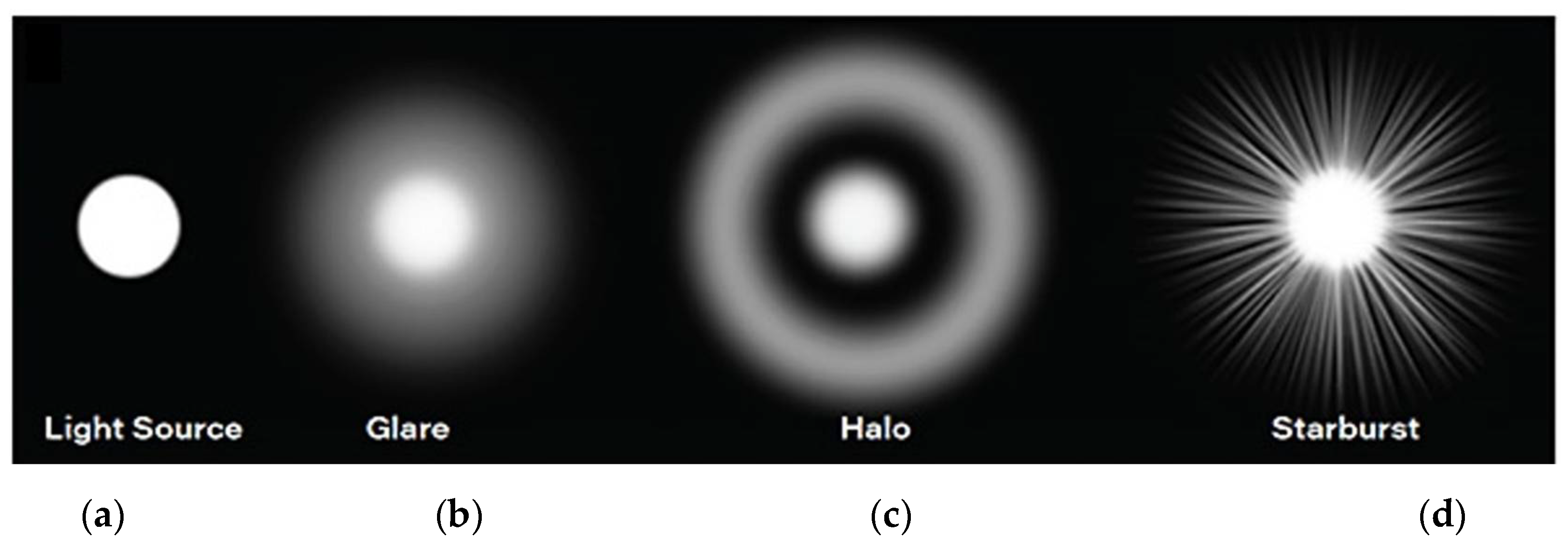 Preprints 111777 g001