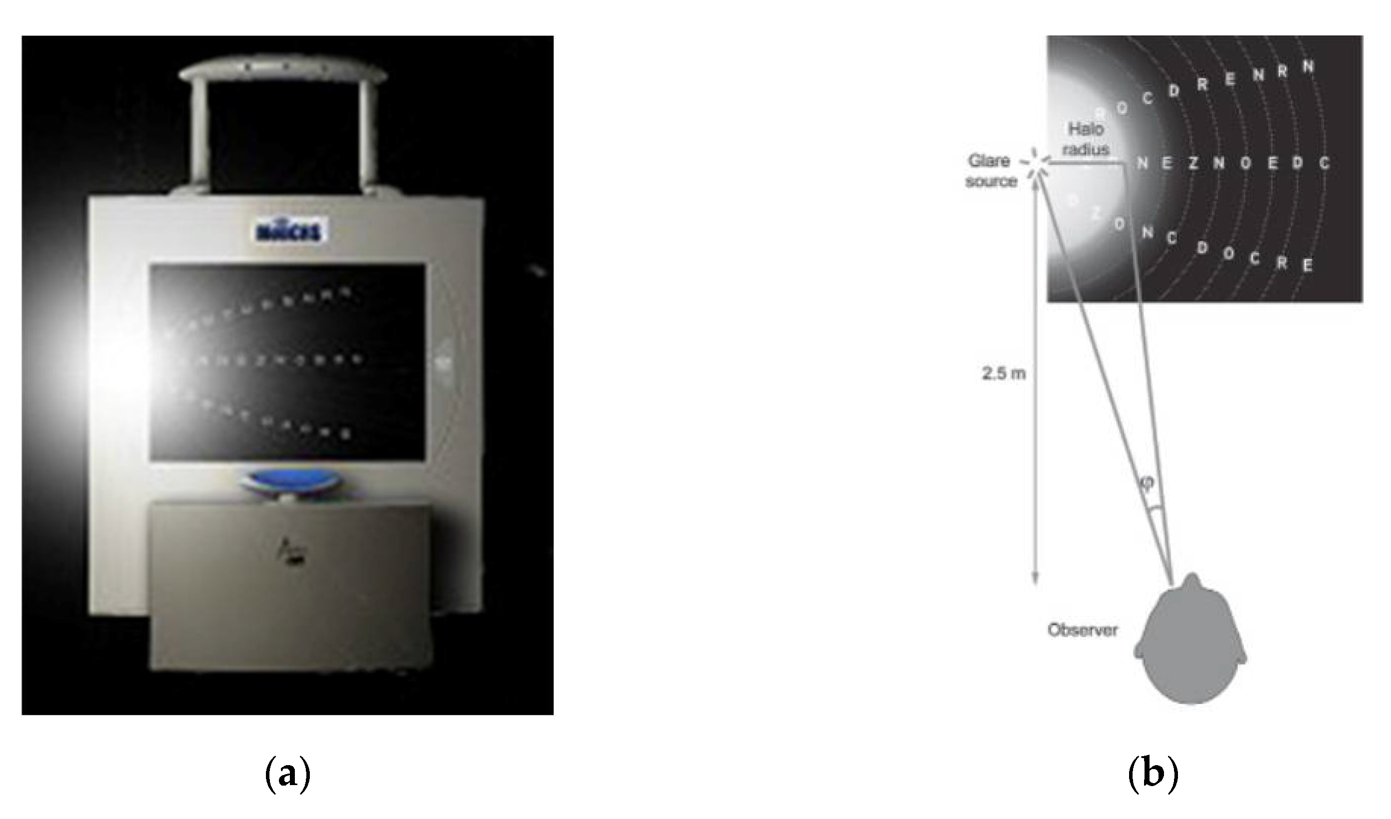 Preprints 111777 g010