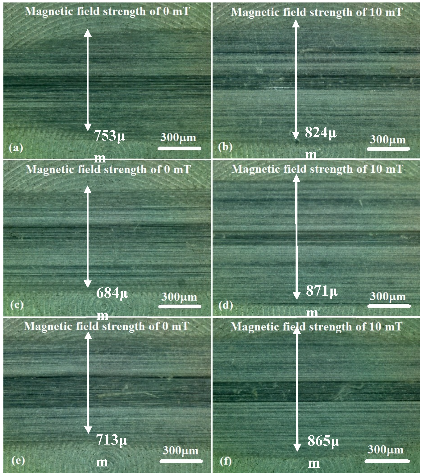 Preprints 96800 g003