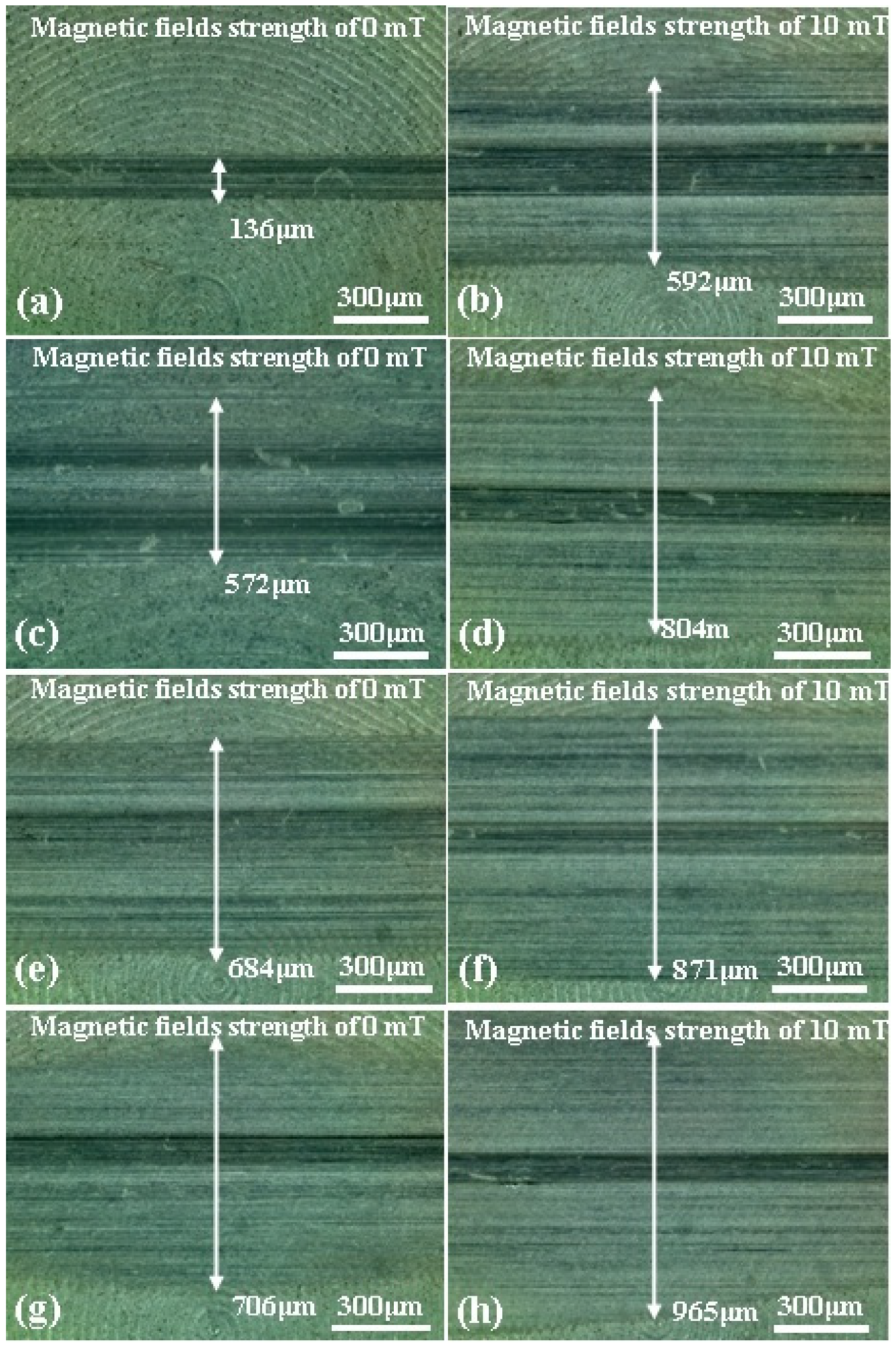 Preprints 96800 g007