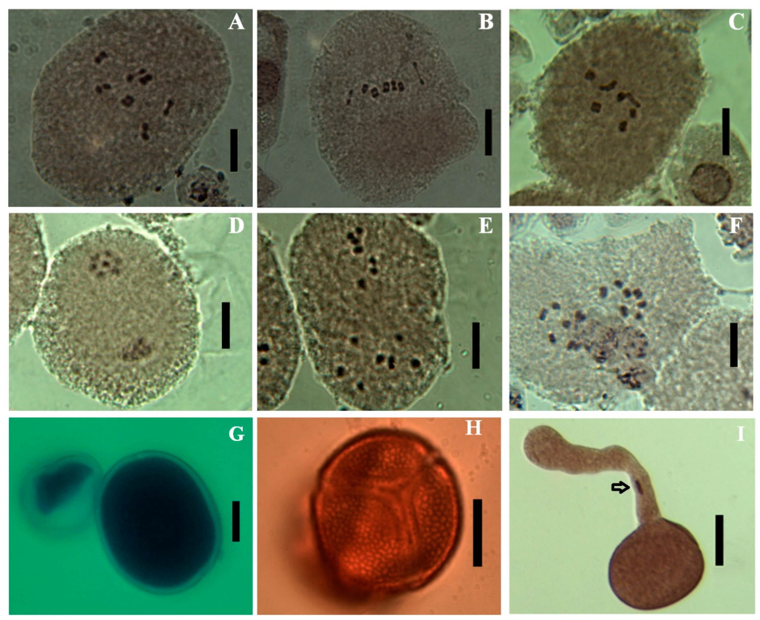 Preprints 79655 g003