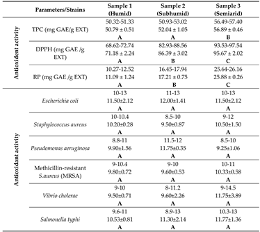 Preprints 79655 i001