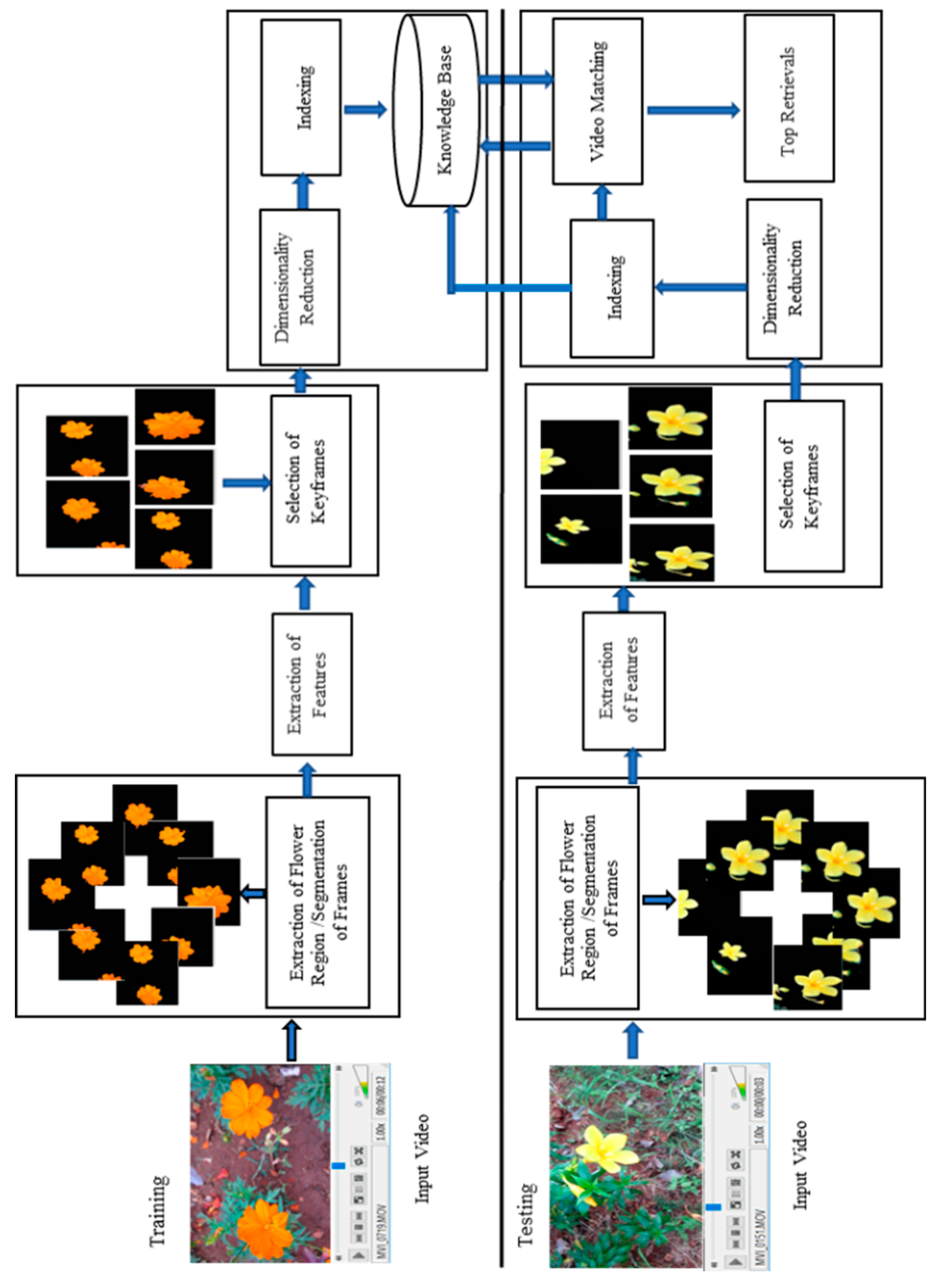 Preprints 91797 g001