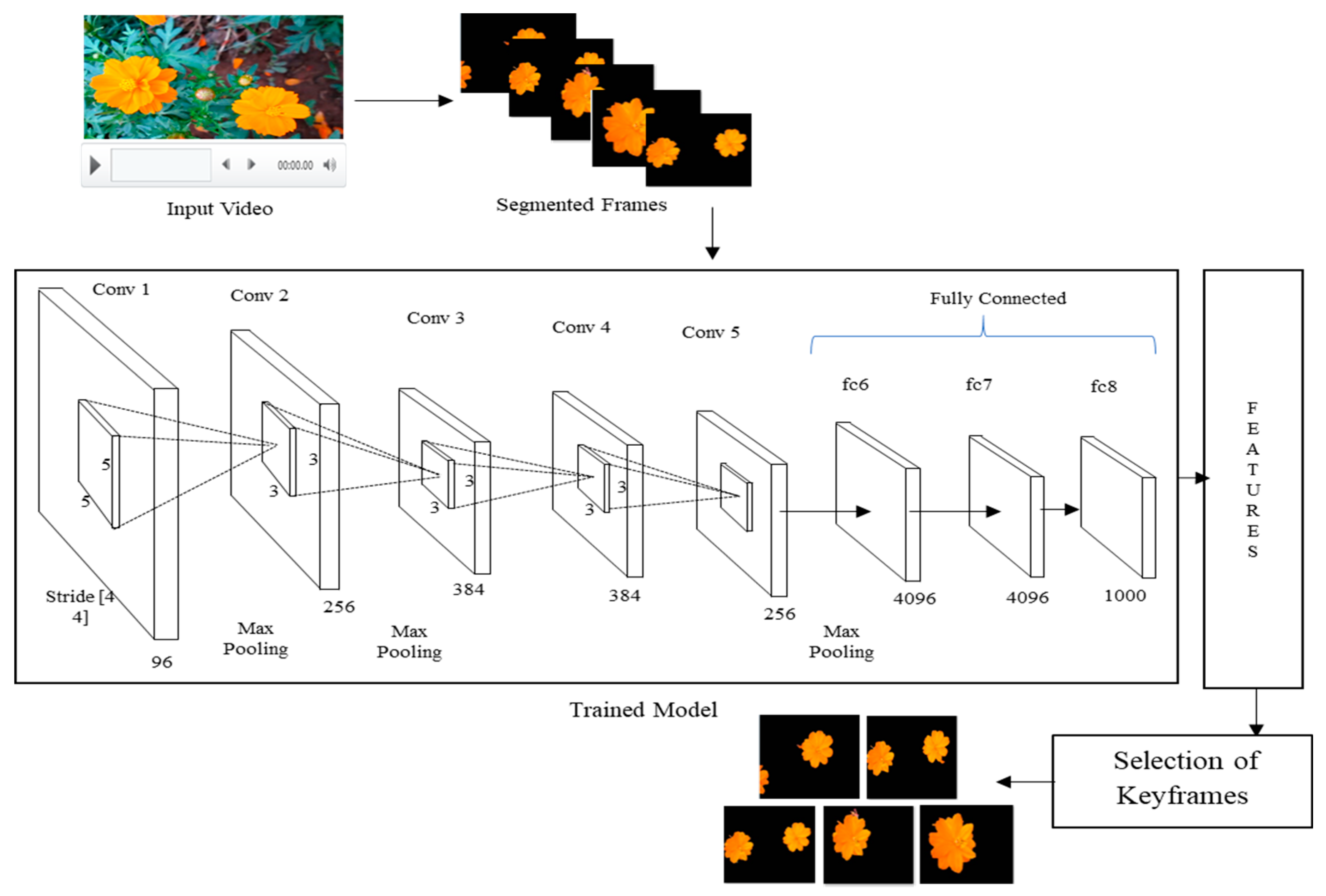 Preprints 91797 g002