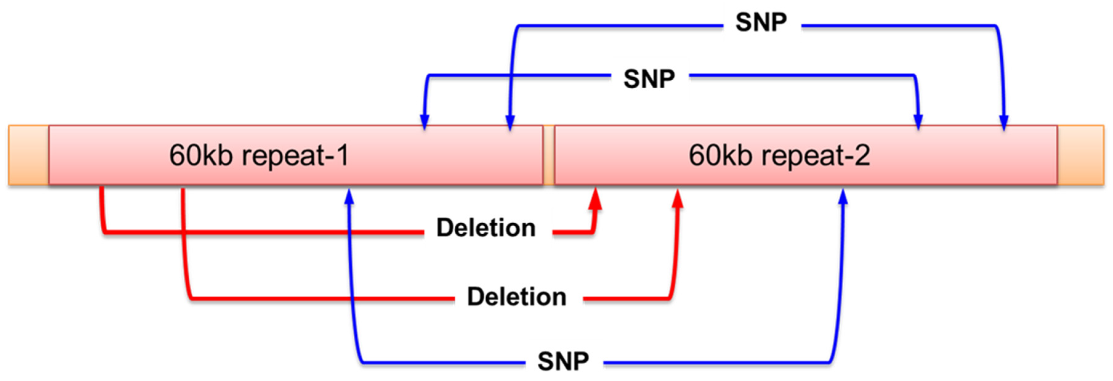 Preprints 74093 g003