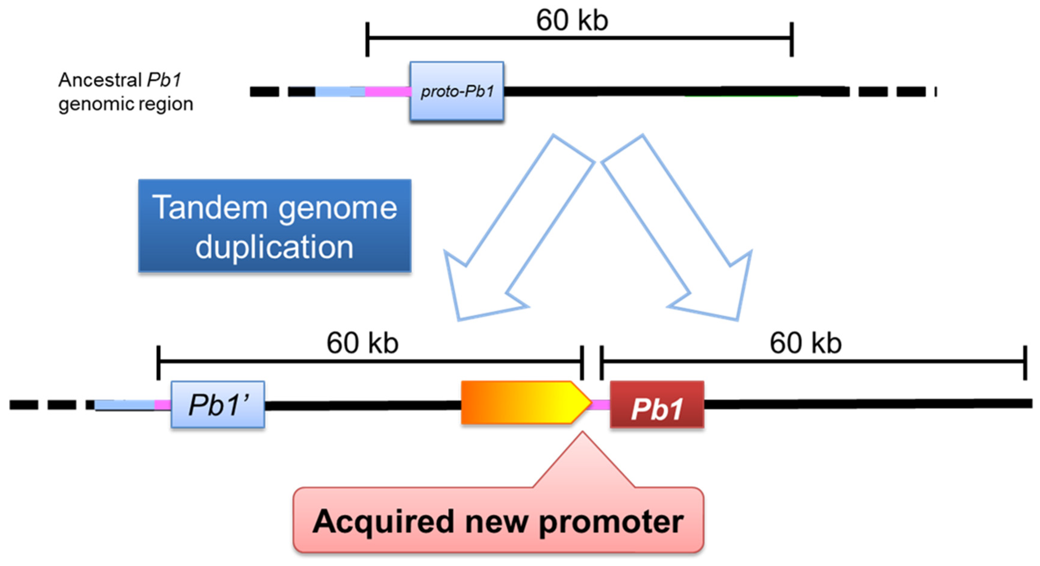 Preprints 74093 g004