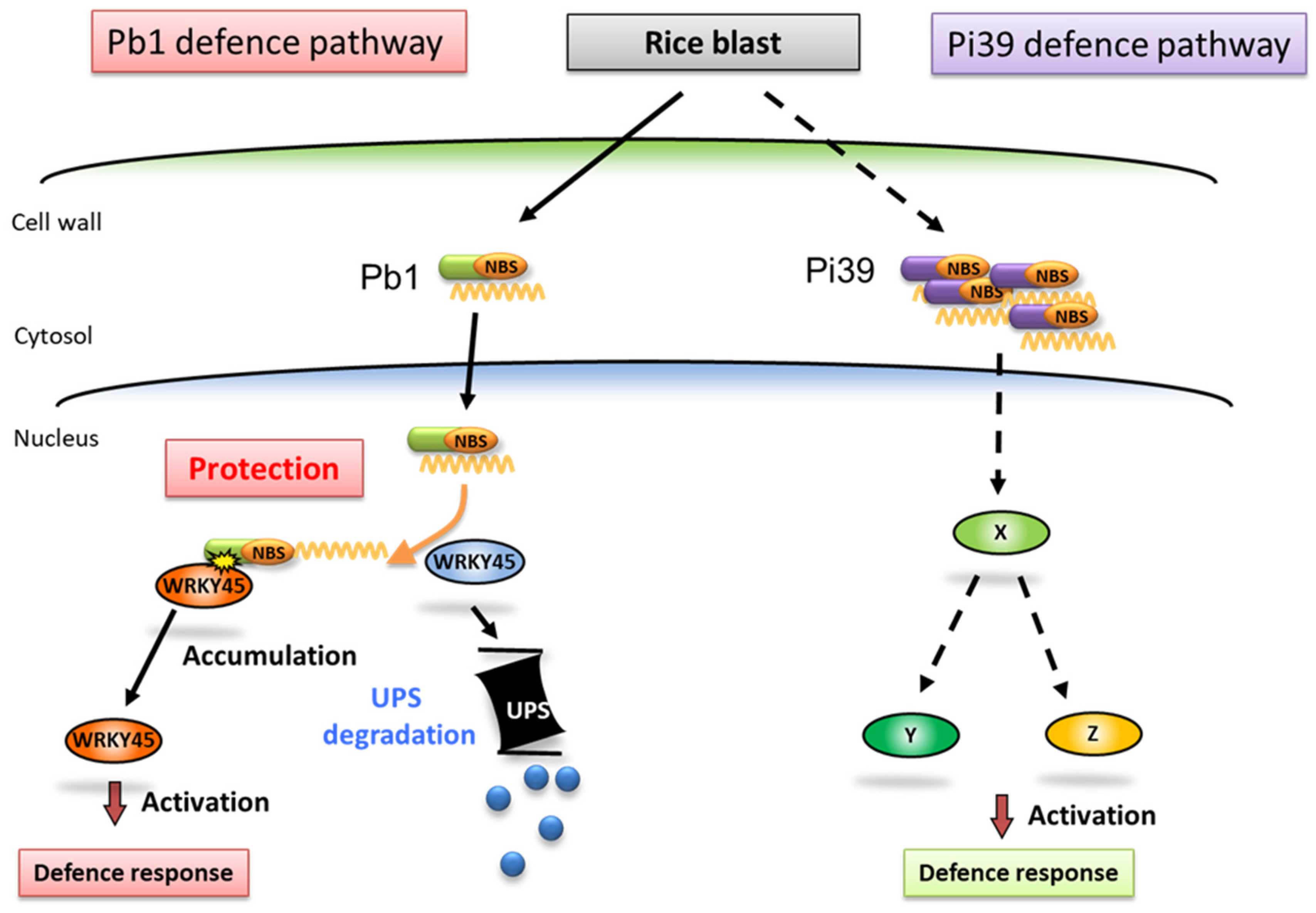 Preprints 74093 g005