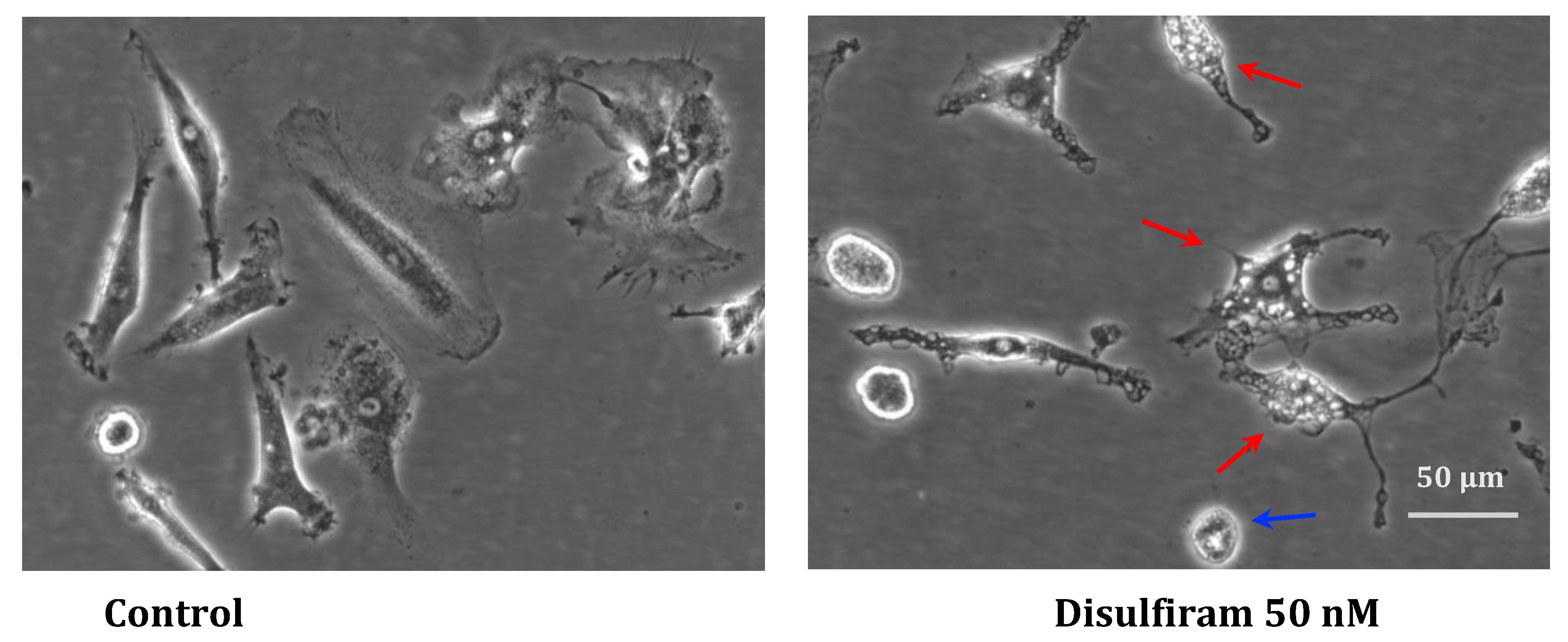 Preprints 97243 g007