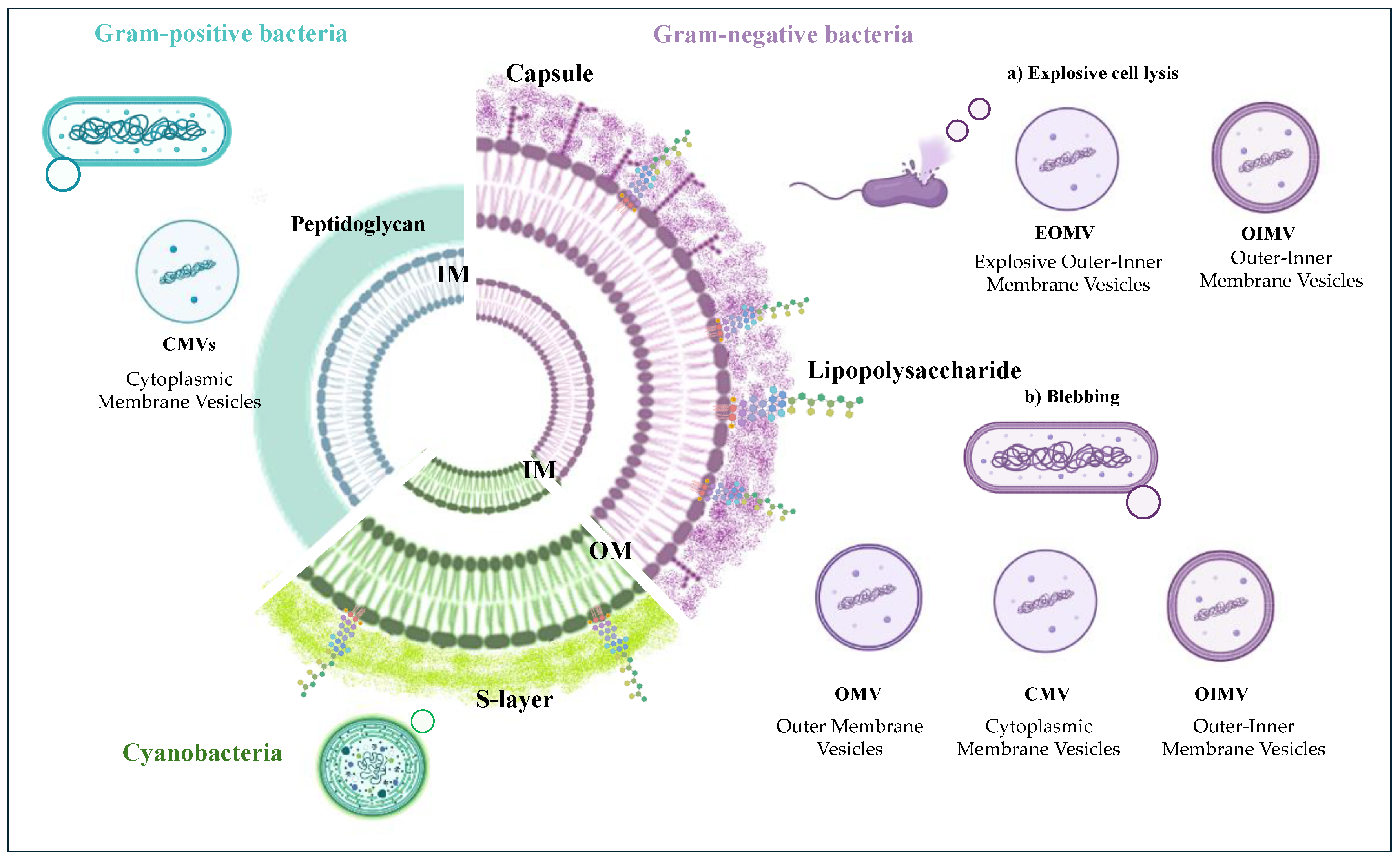 Preprints 111255 g001