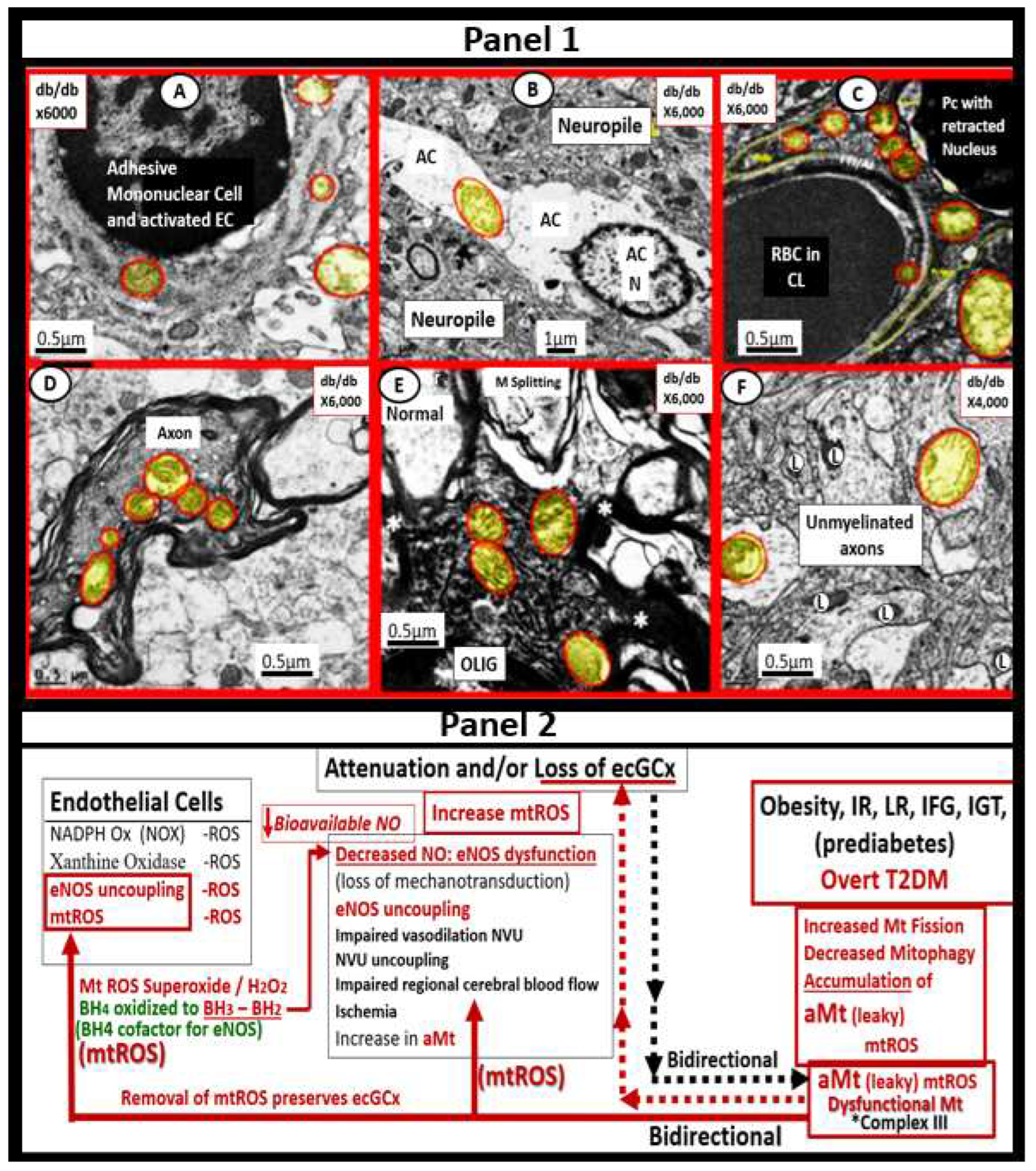 Preprints 68300 g016