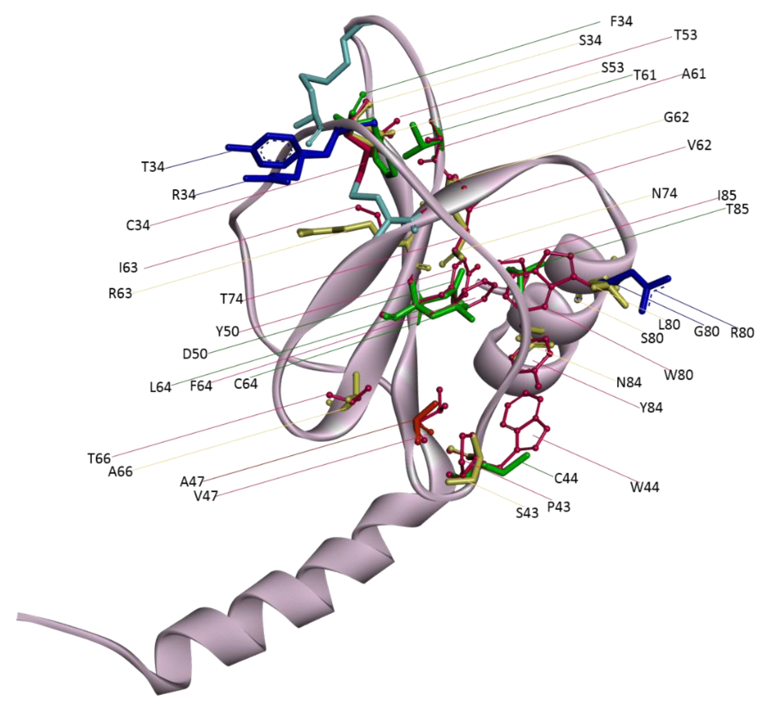 Preprints 111679 g003