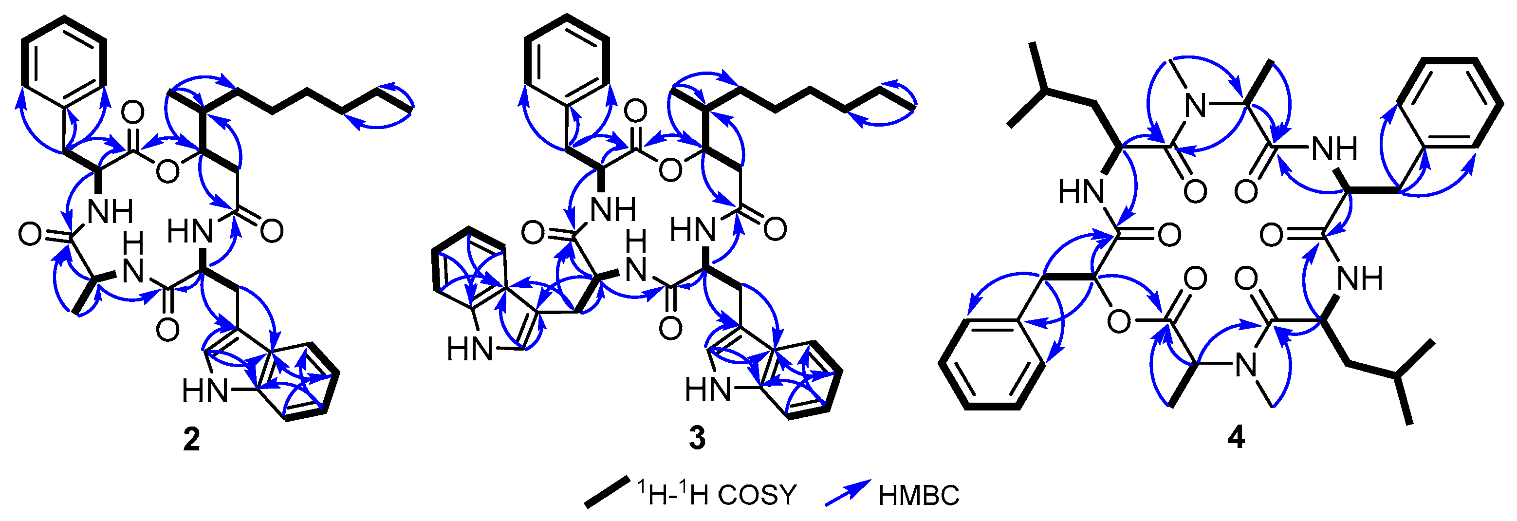 Preprints 109364 g003