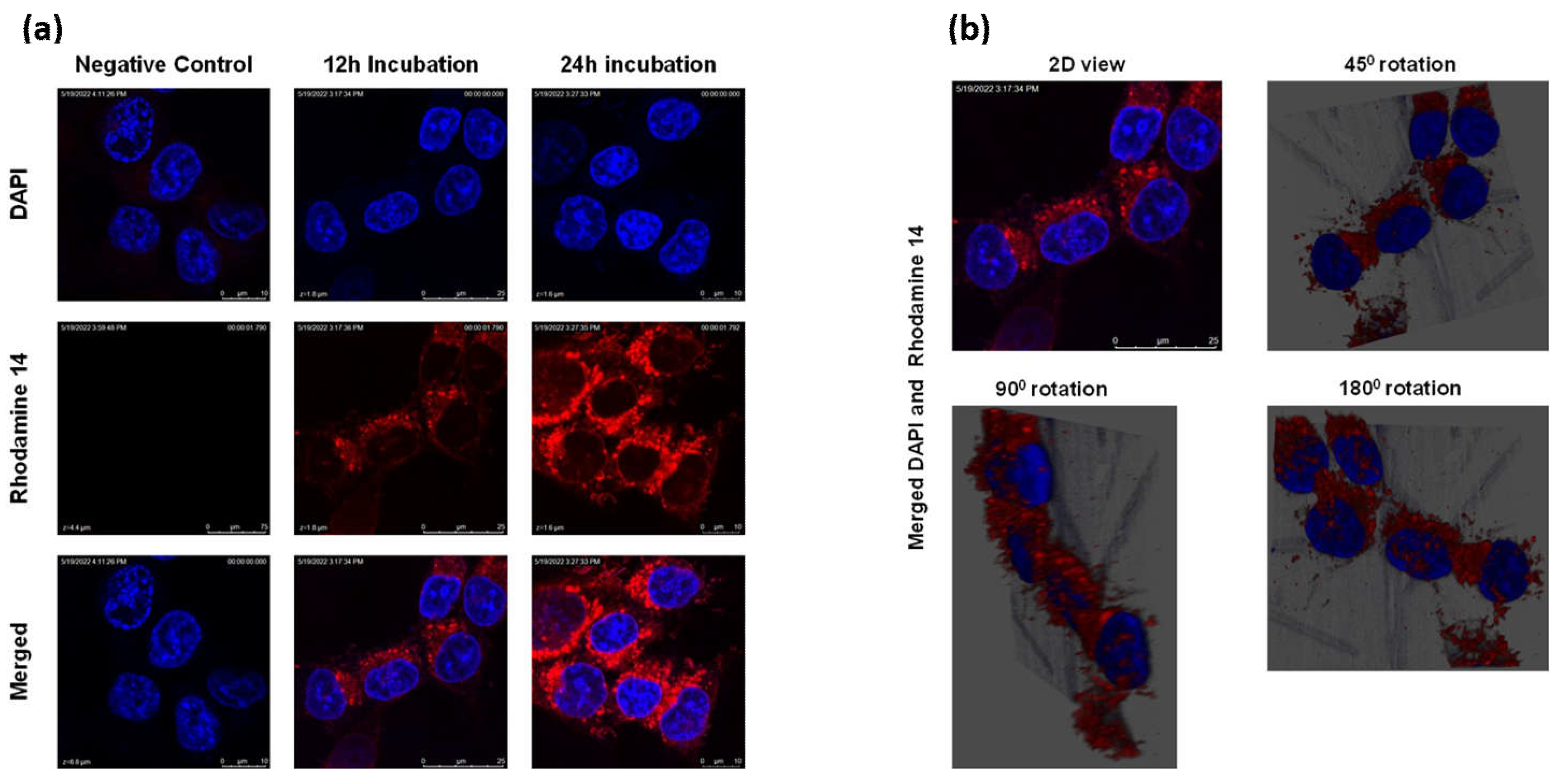 Preprints 67113 g003