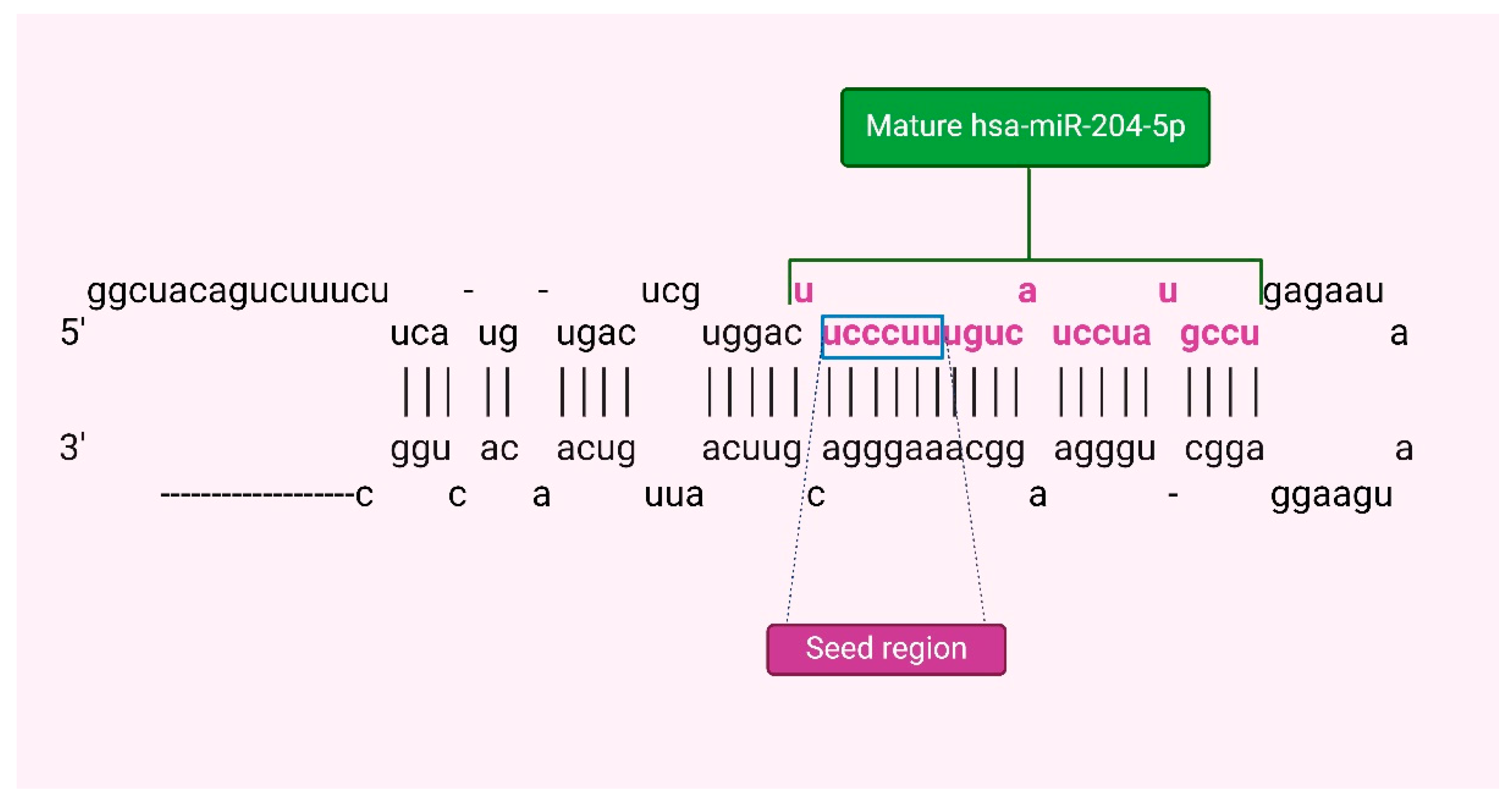 Preprints 110256 g001