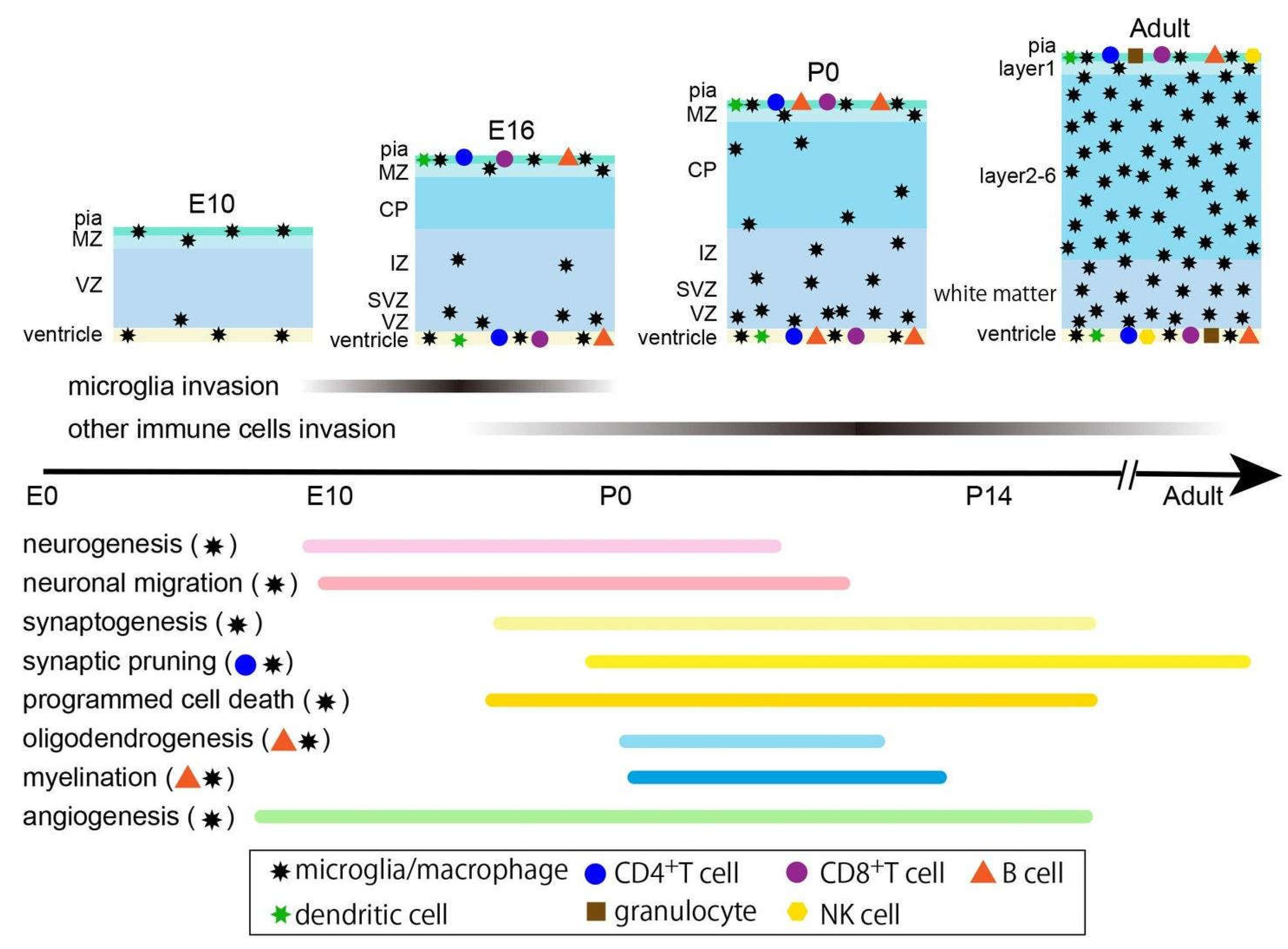 Preprints 113342 g003