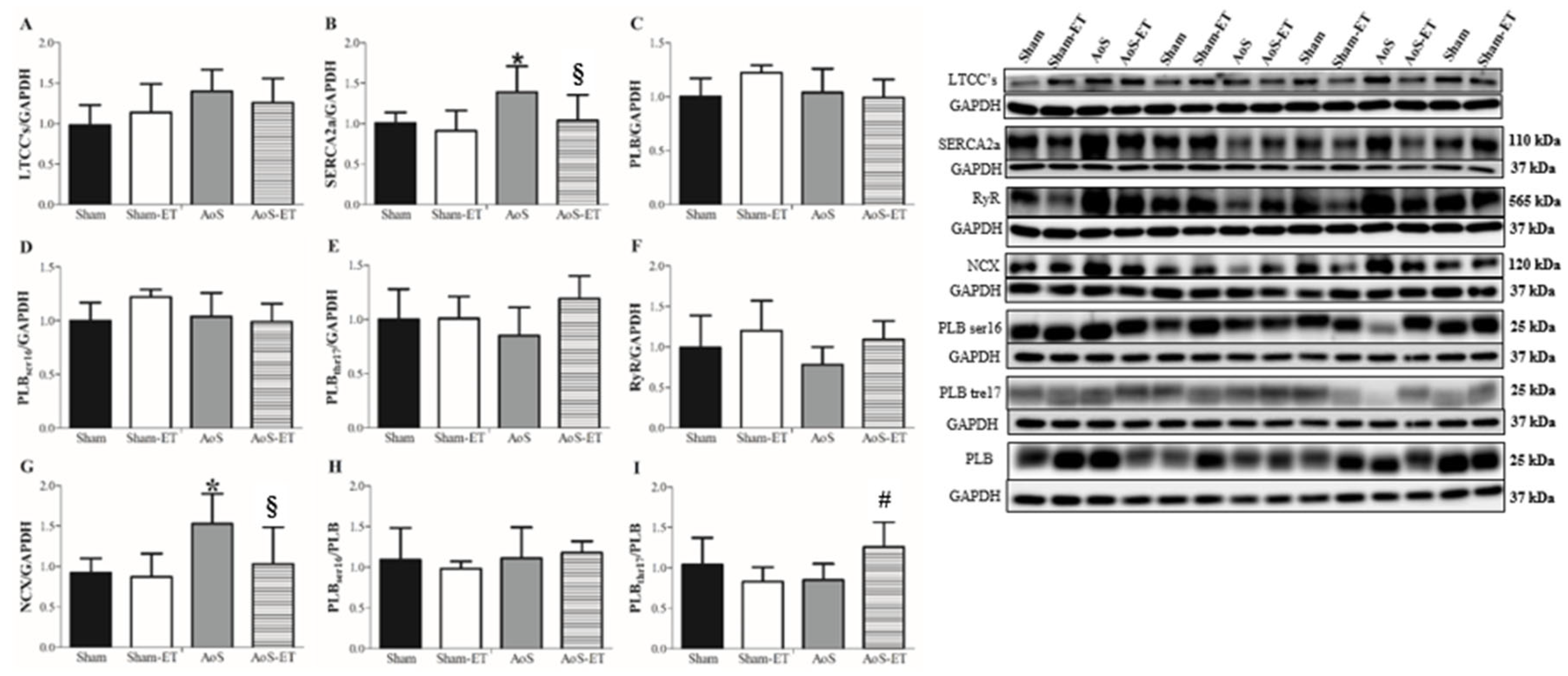 Preprints 75604 g005