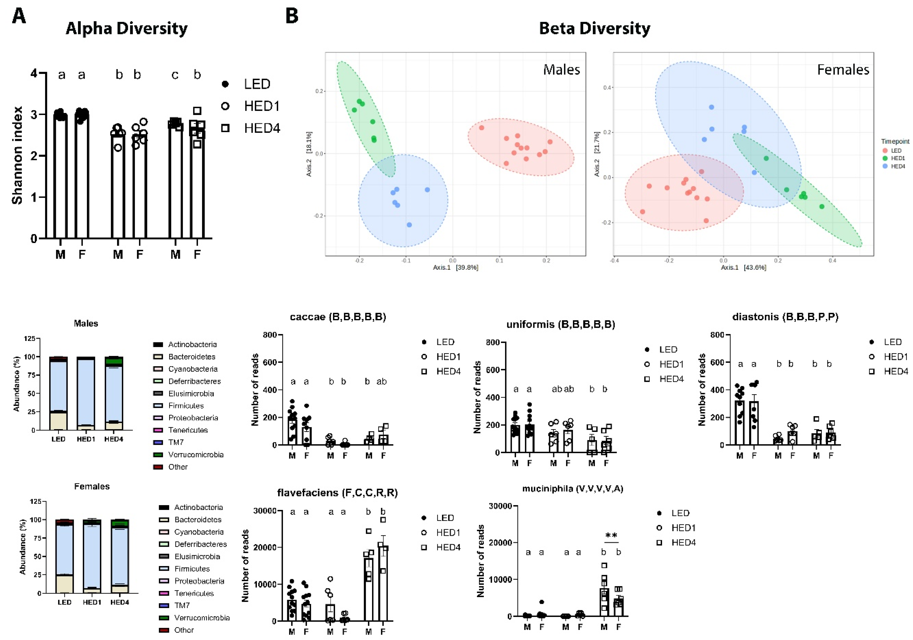 Preprints 120019 g002