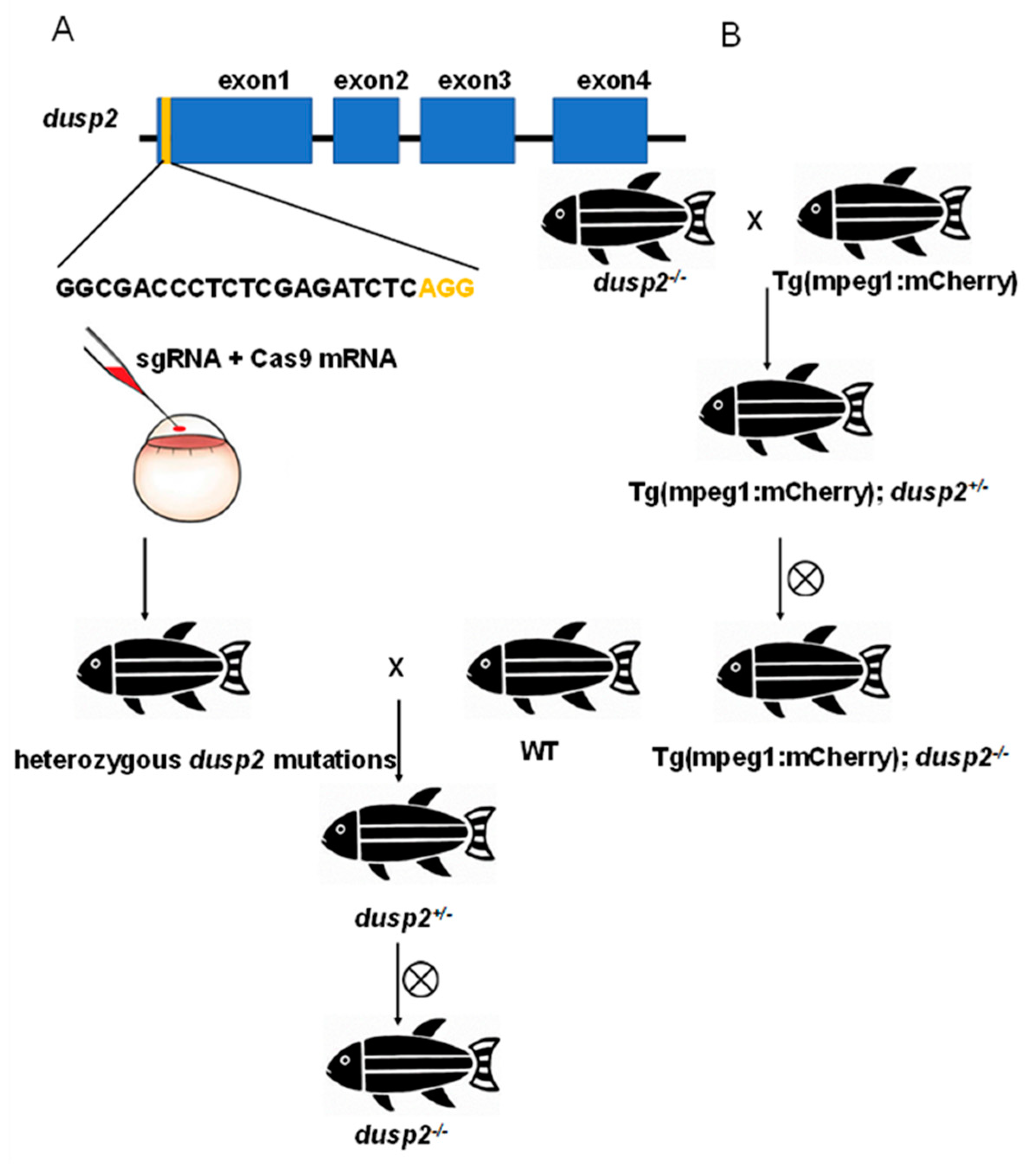 Preprints 72667 g001