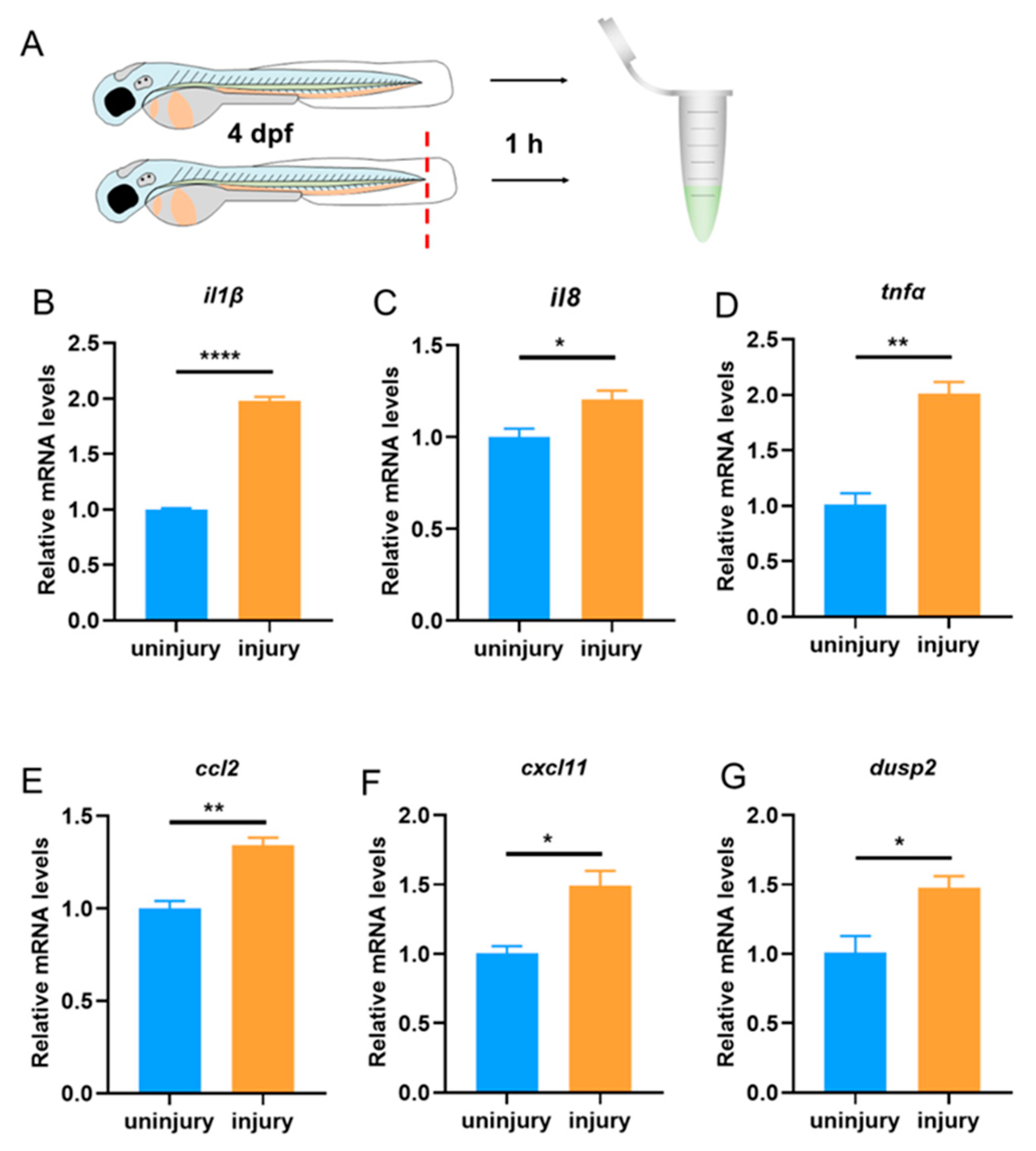 Preprints 72667 g002