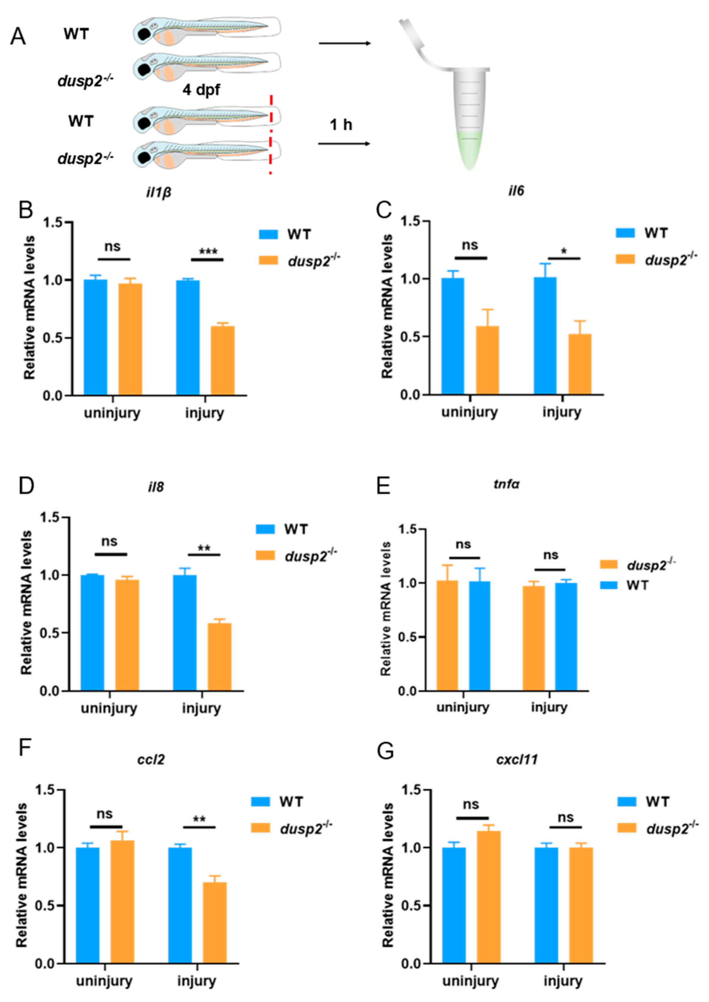 Preprints 72667 g003