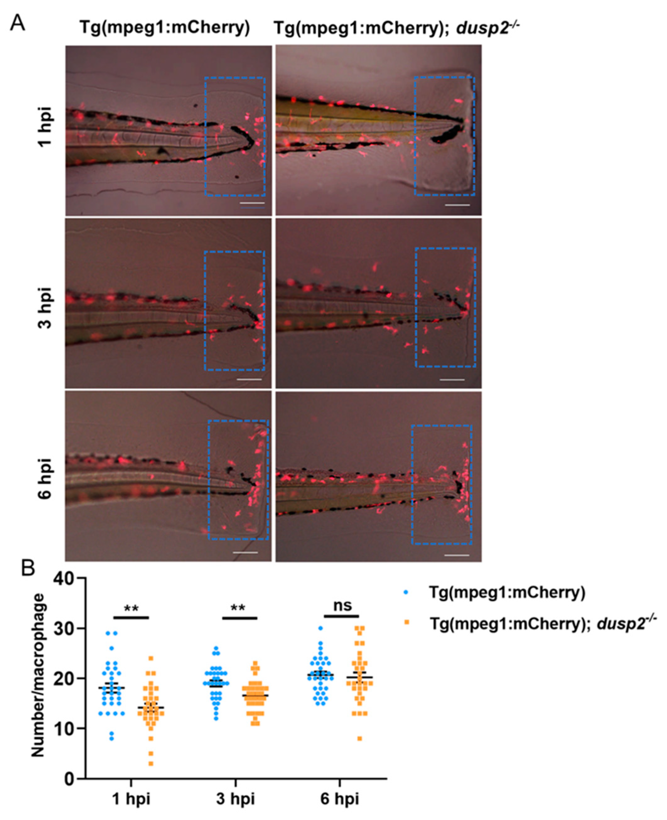 Preprints 72667 g004