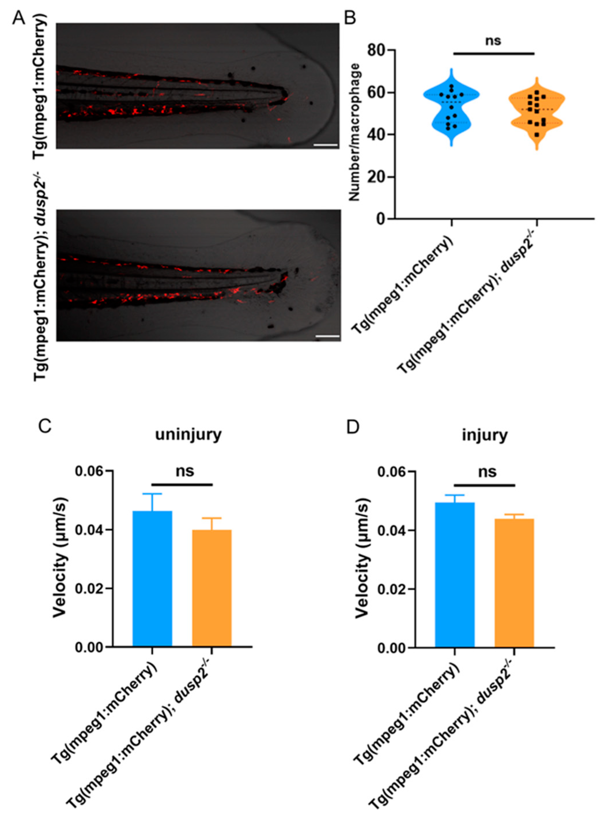 Preprints 72667 g005