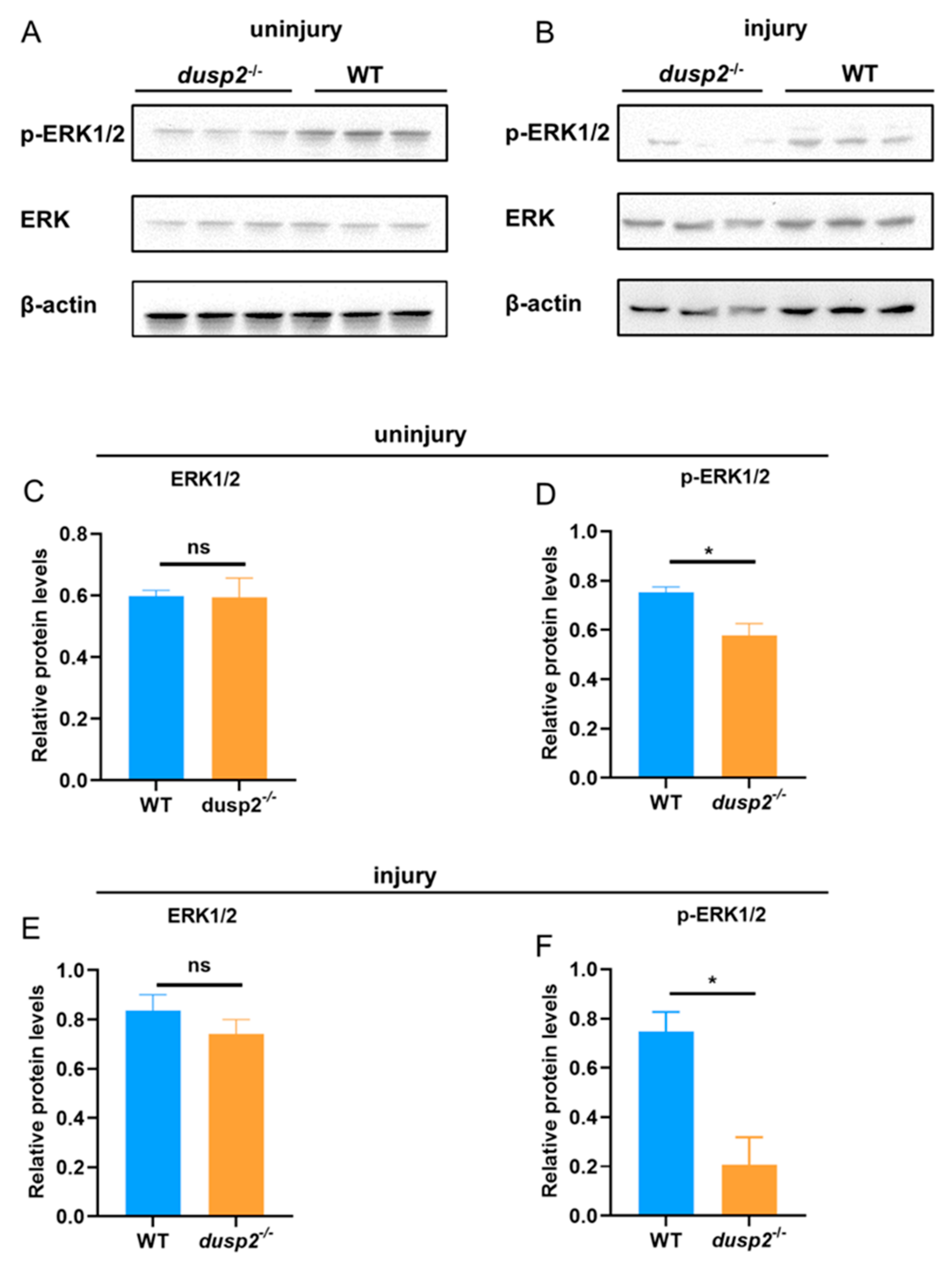 Preprints 72667 g006