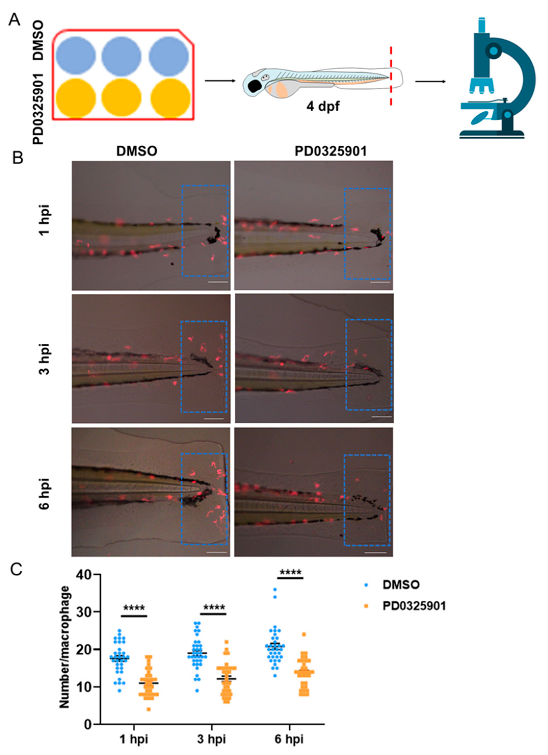 Preprints 72667 g007